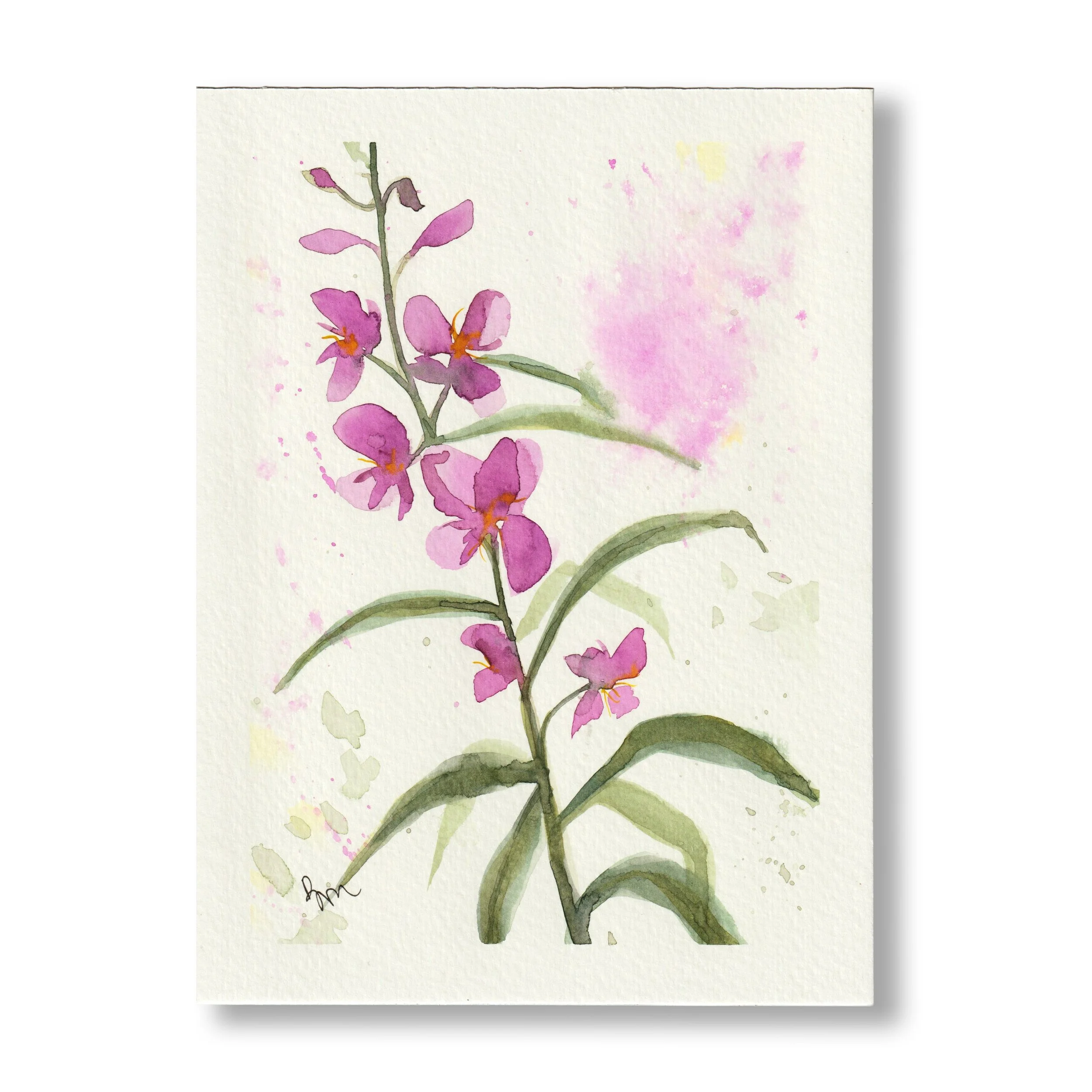 Wildflower 2