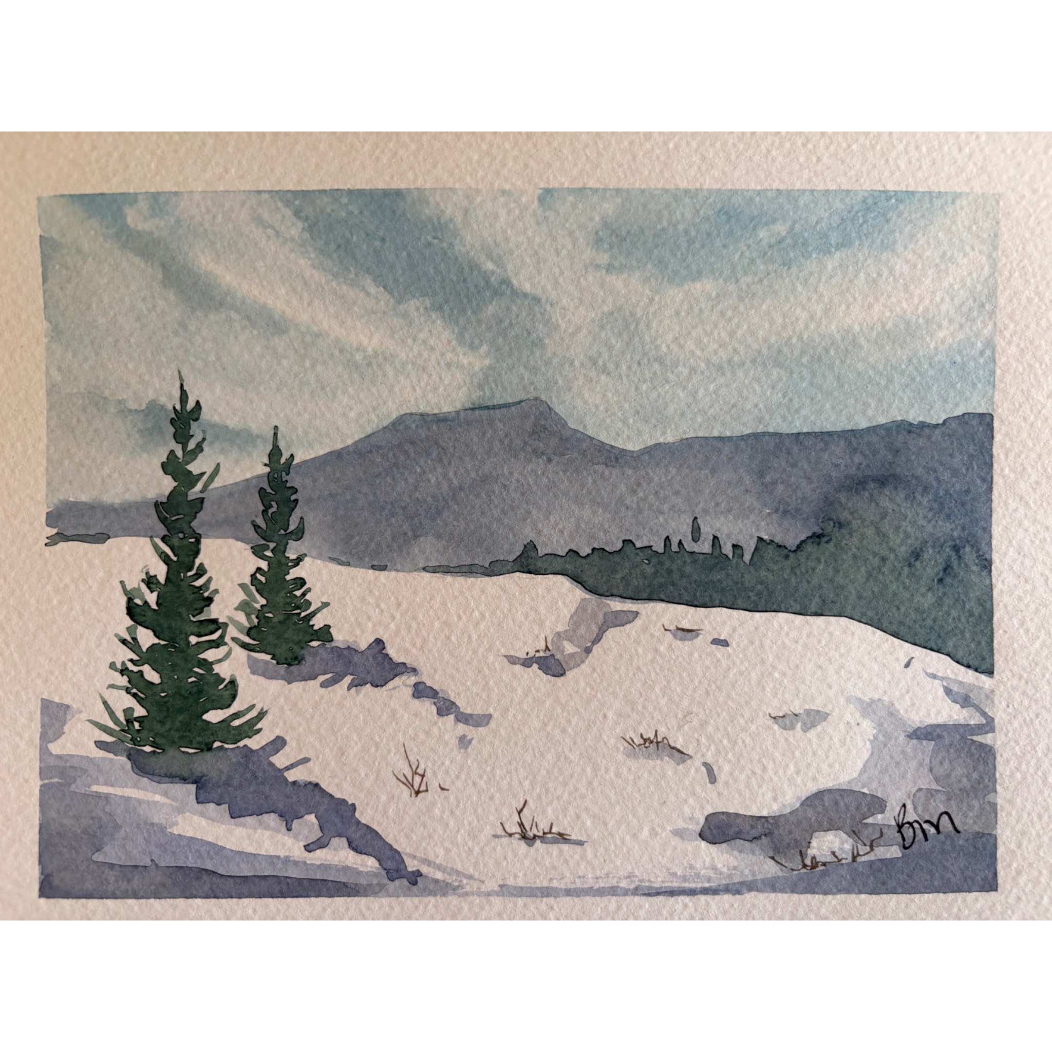 Winter Pines 2