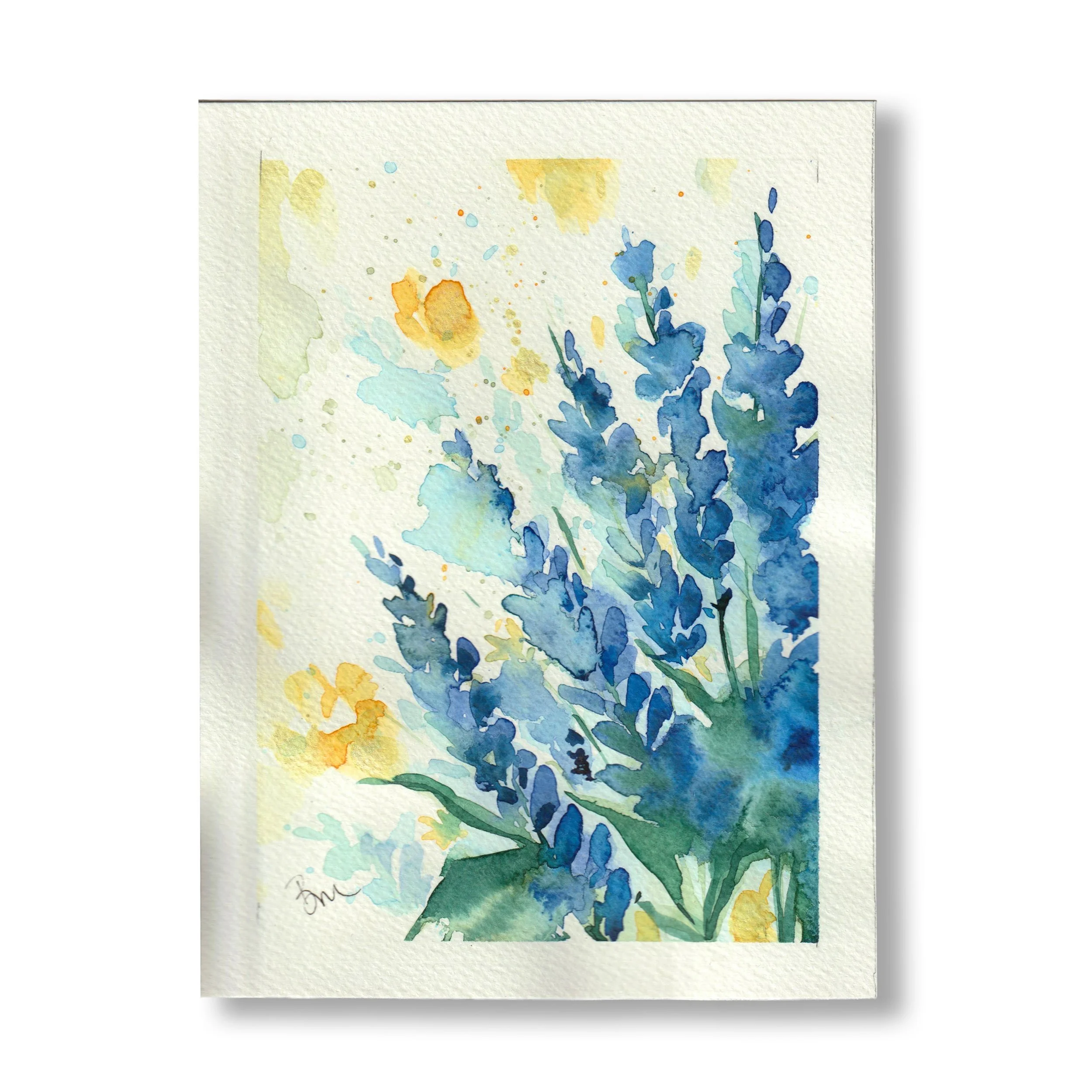 Blue Lupines 2