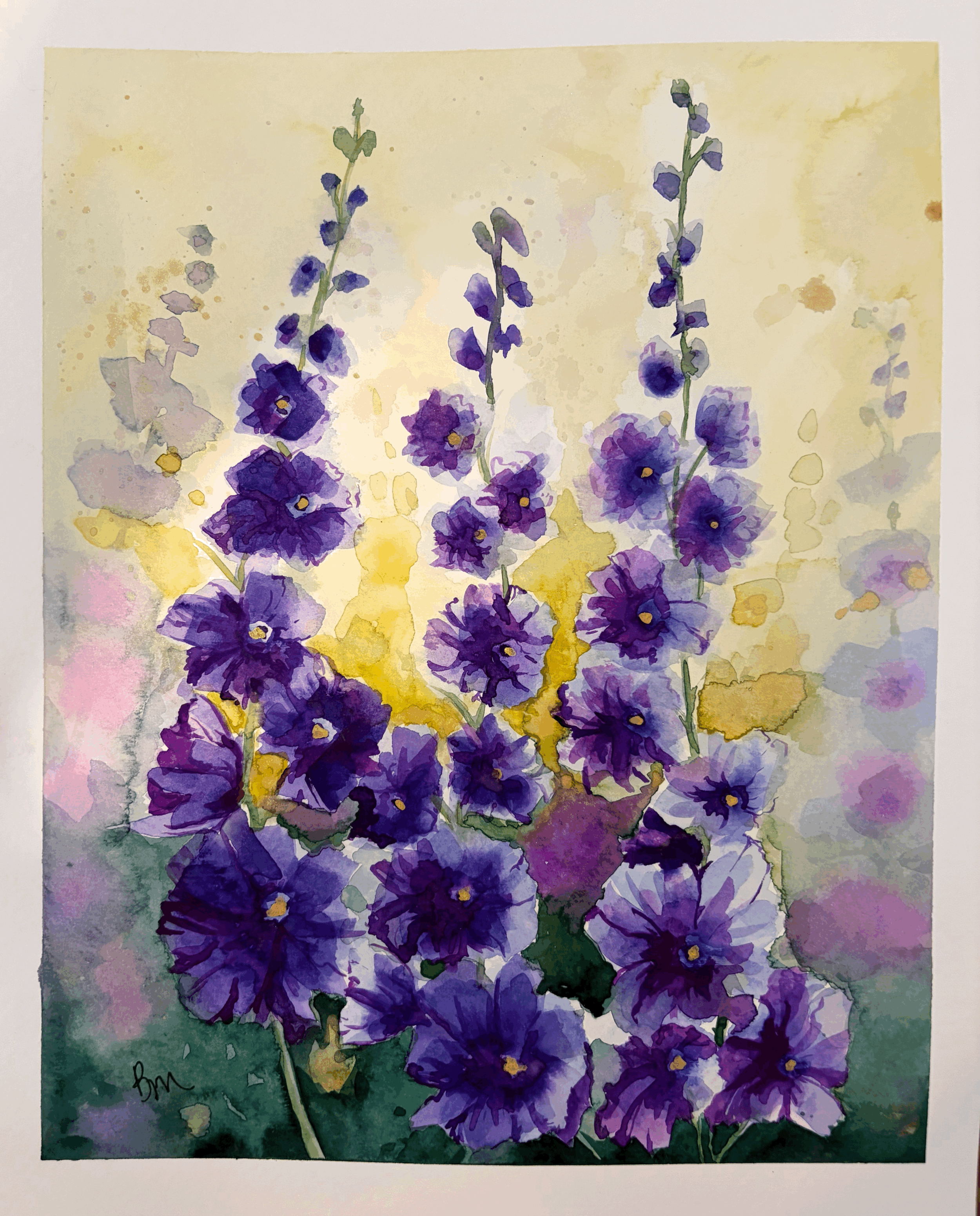 Purple Hollyhocks