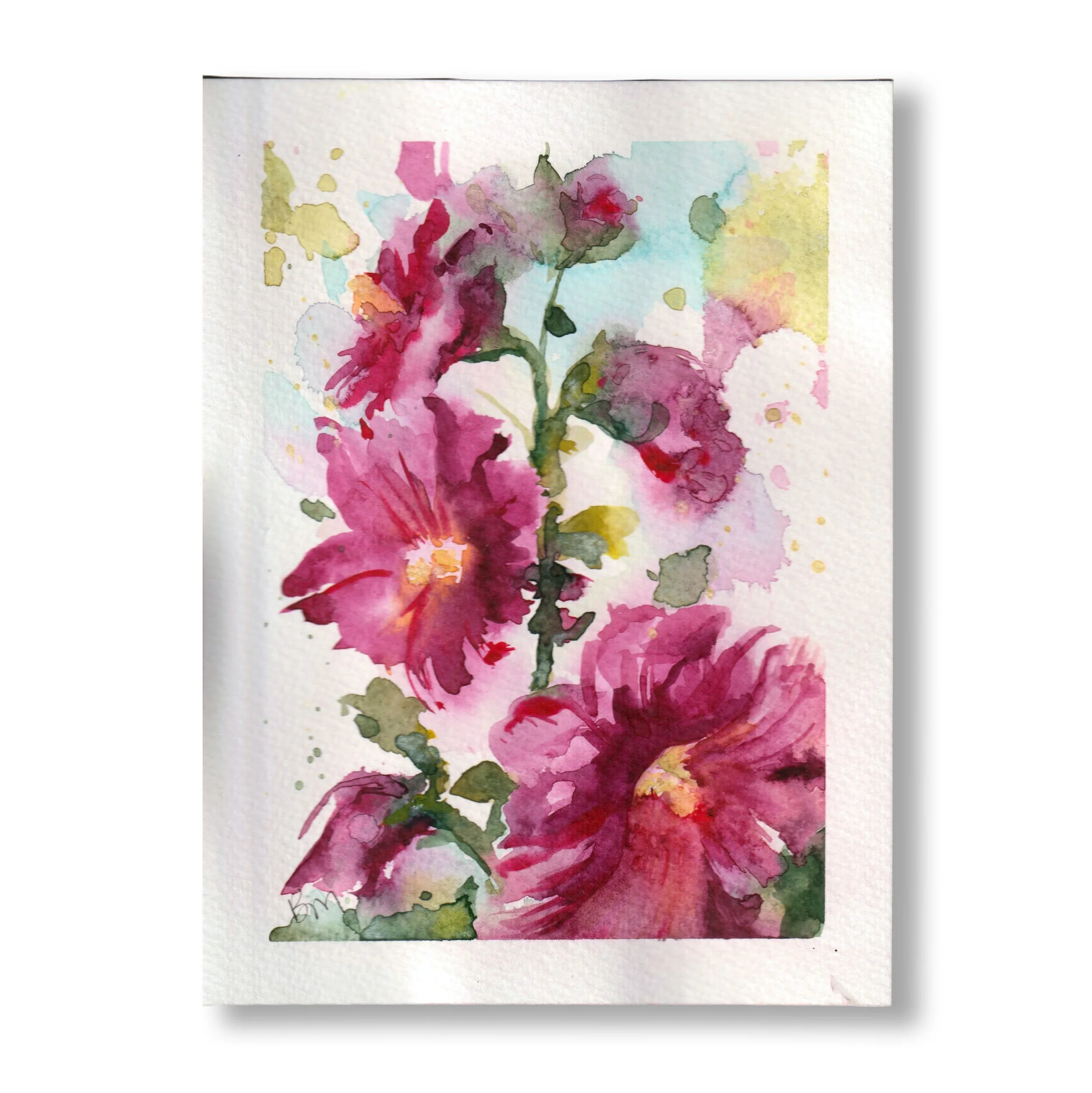 Hollyhocks 2