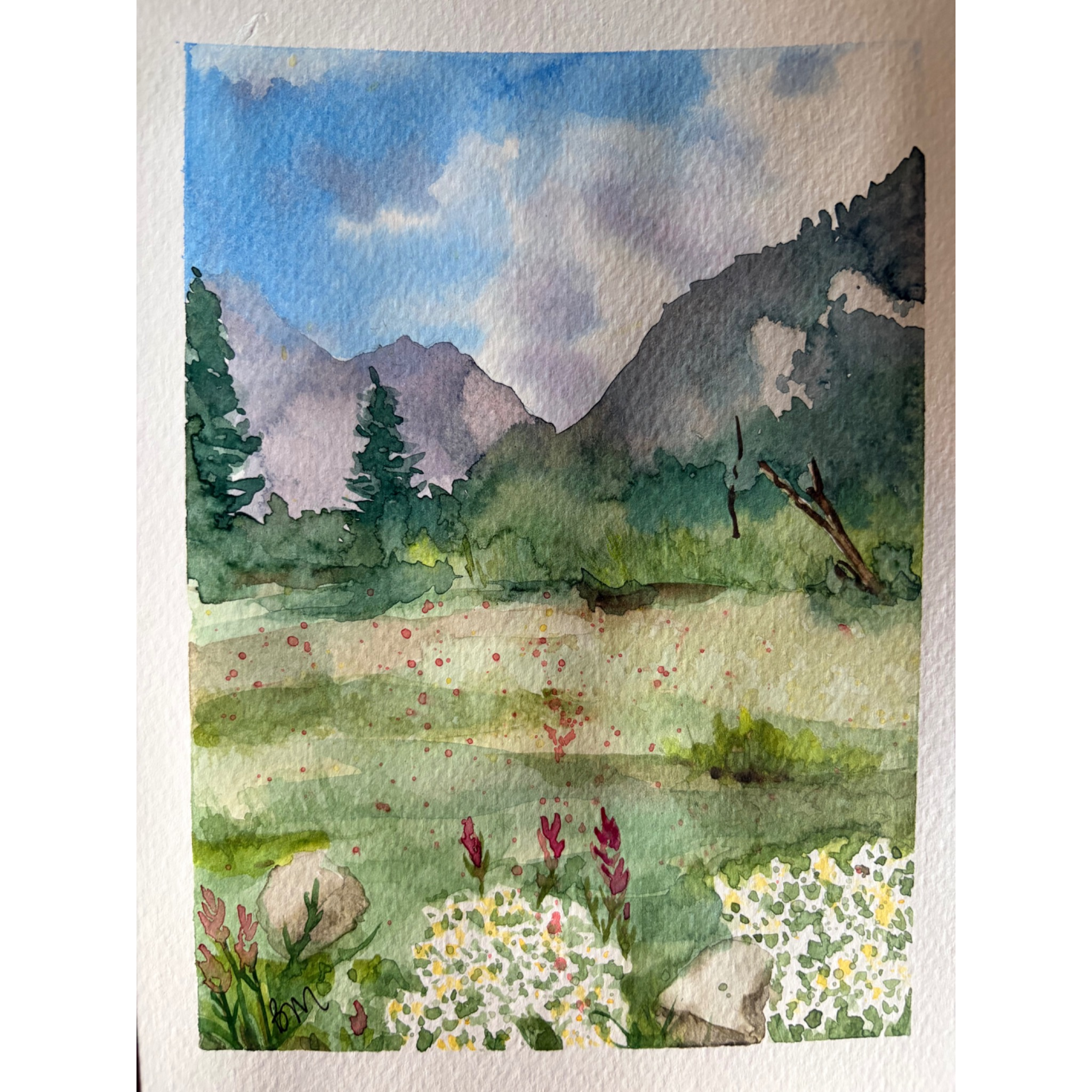 Lake City Landscape