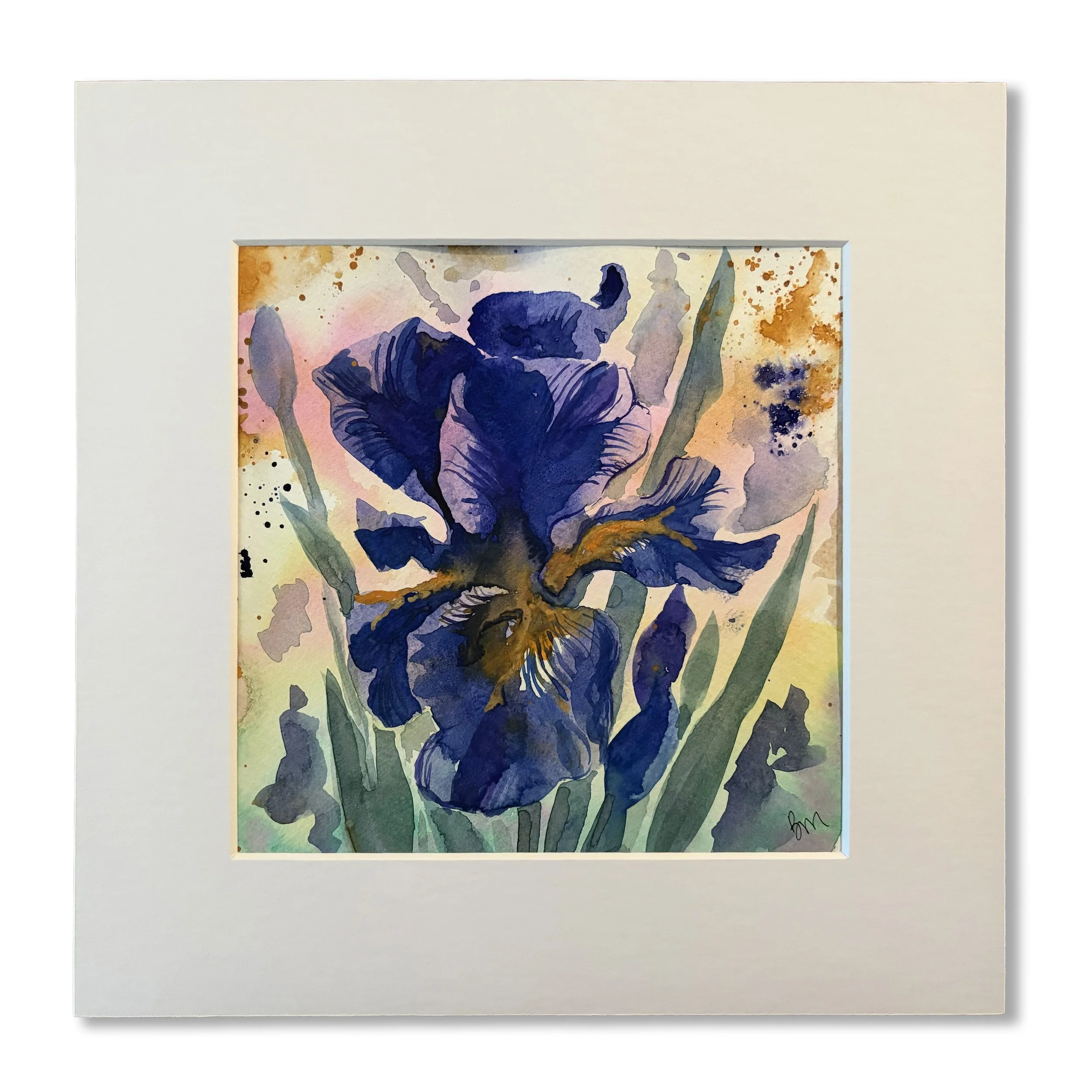 Purple Iris