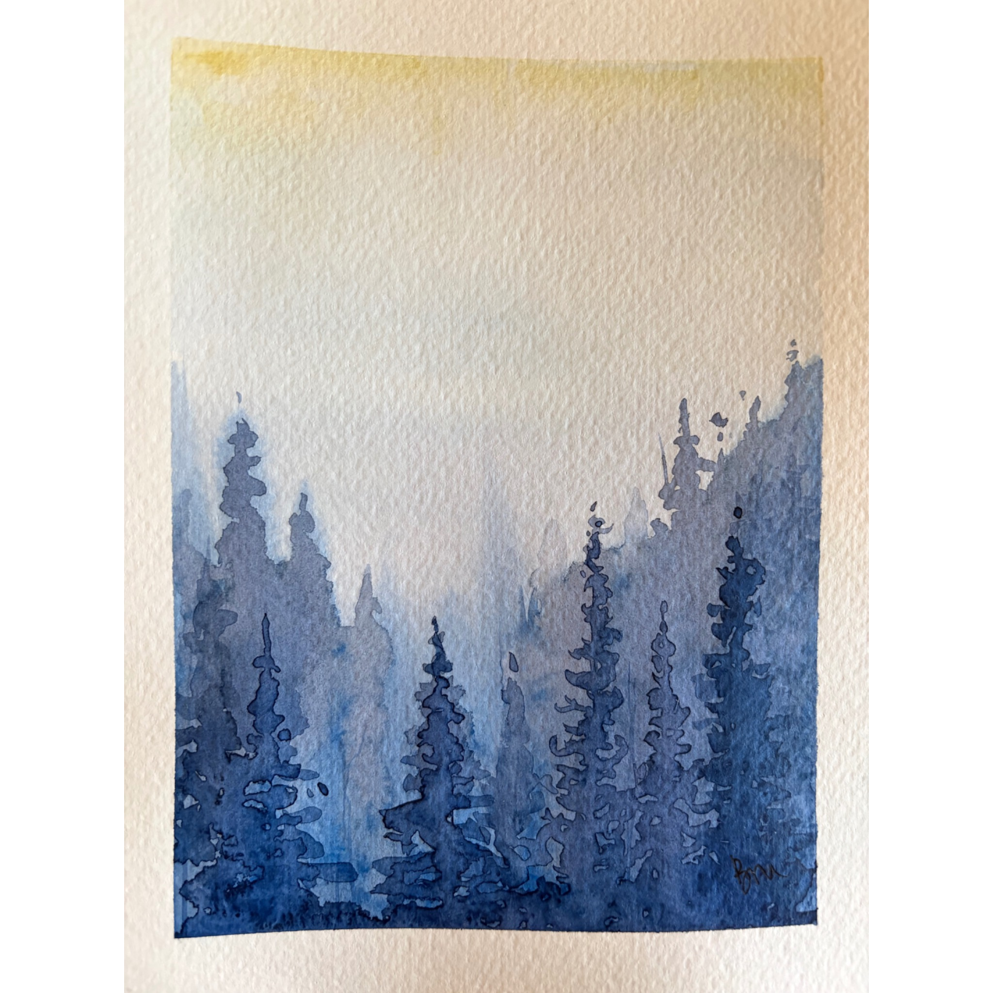 Misty Evergreens