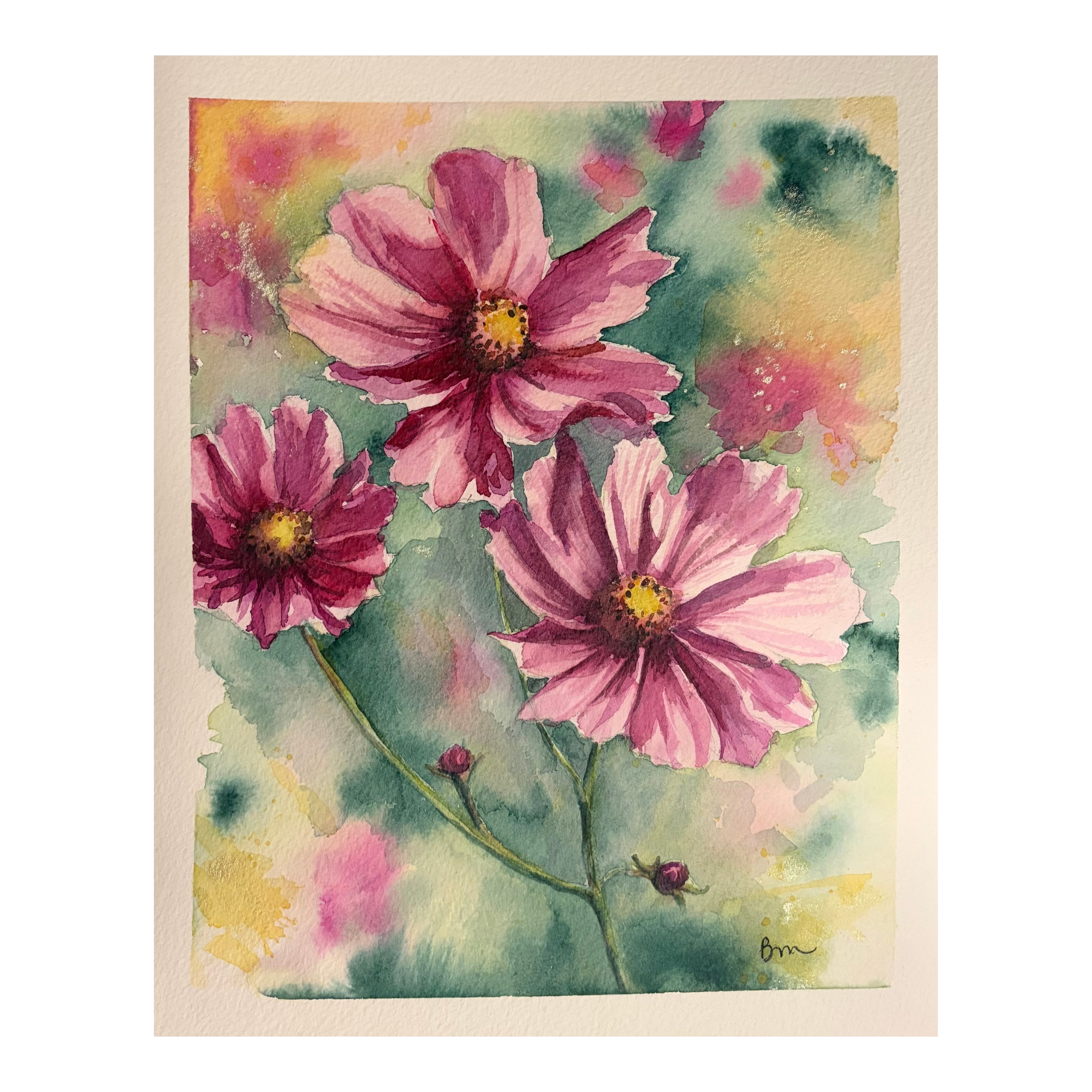 Cosmos
