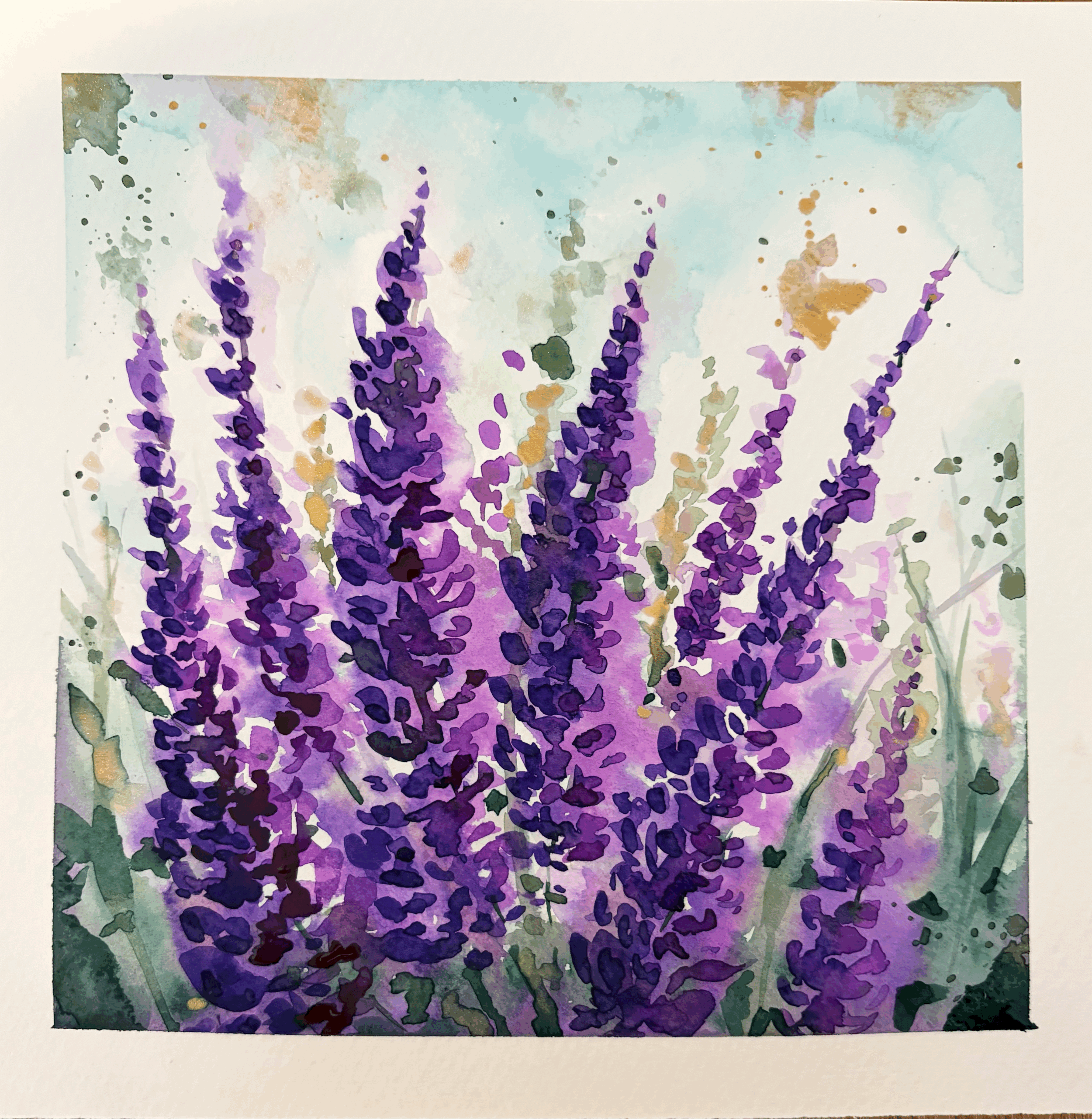 Lavender Explosion
