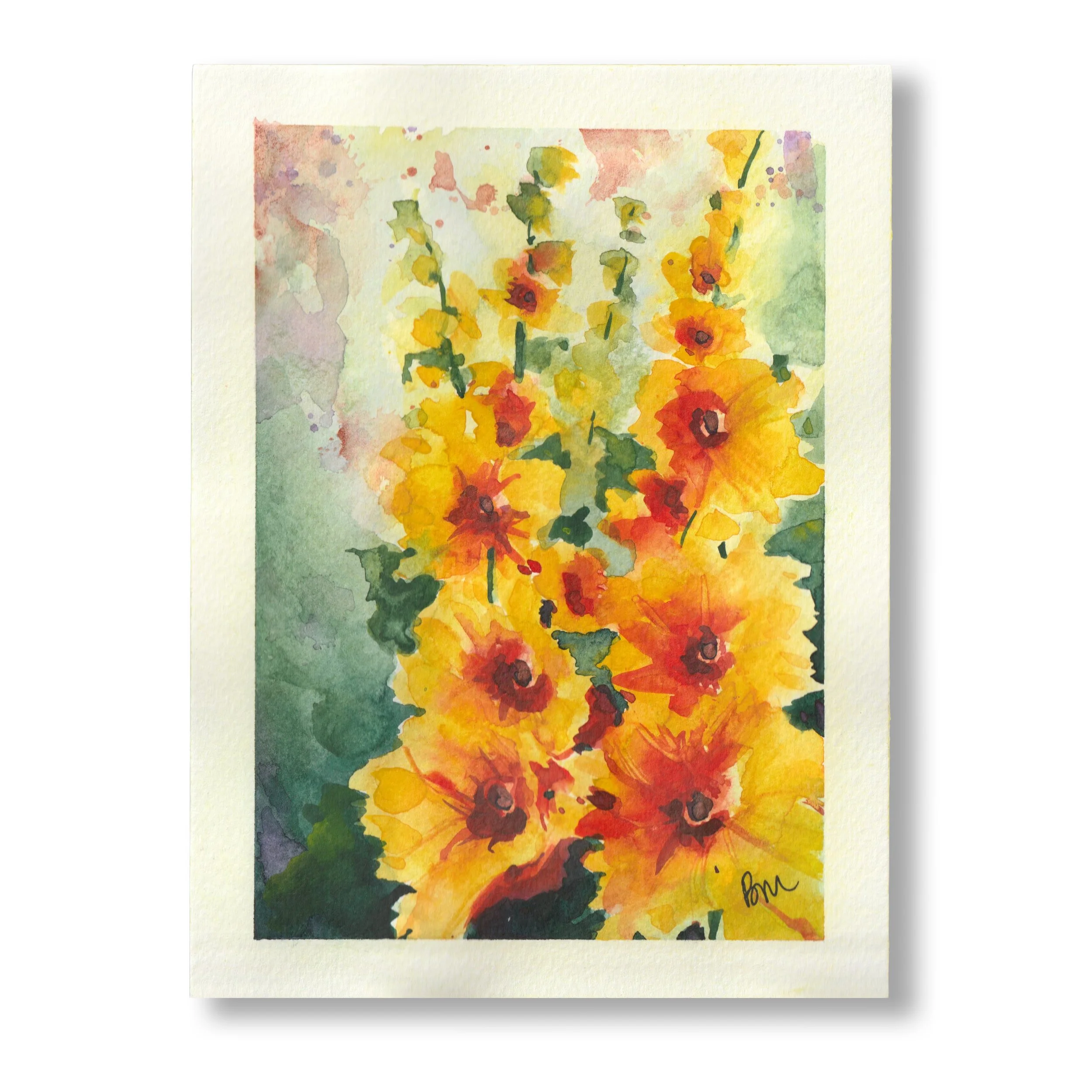 Yellow Hollyhocks