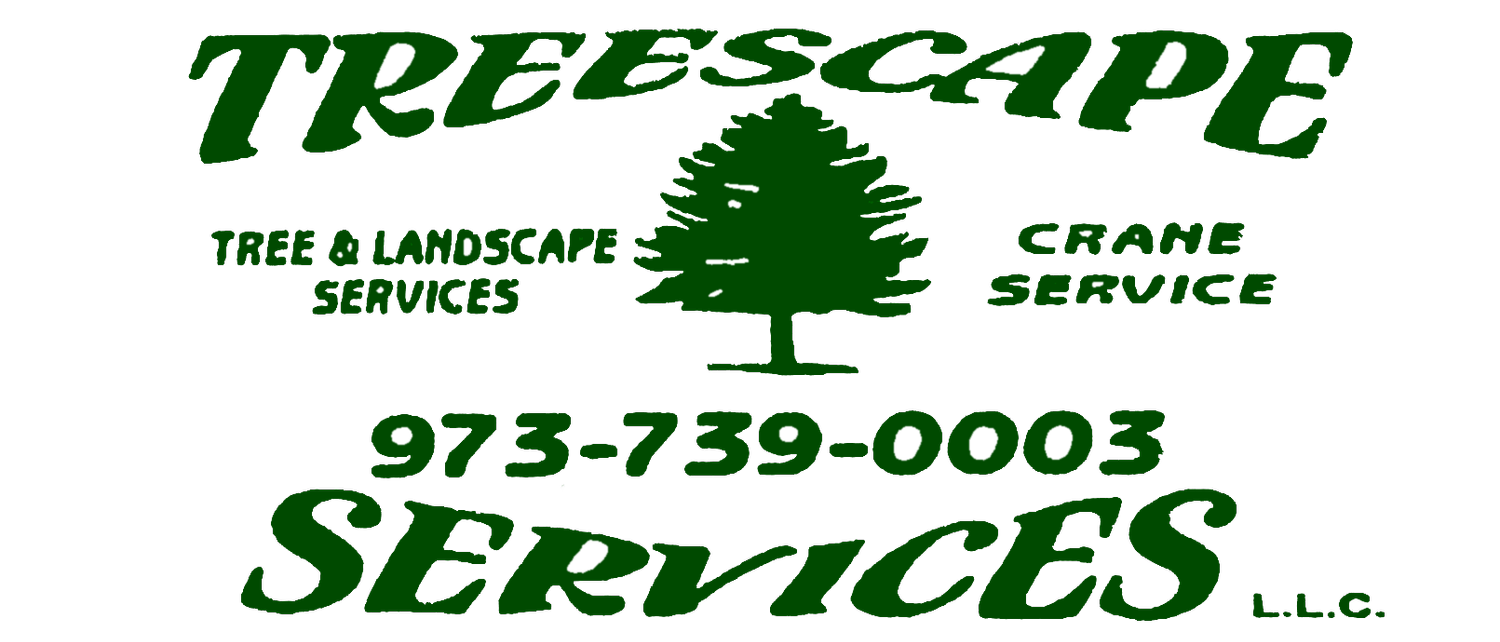 Treescape Services L.L.C.