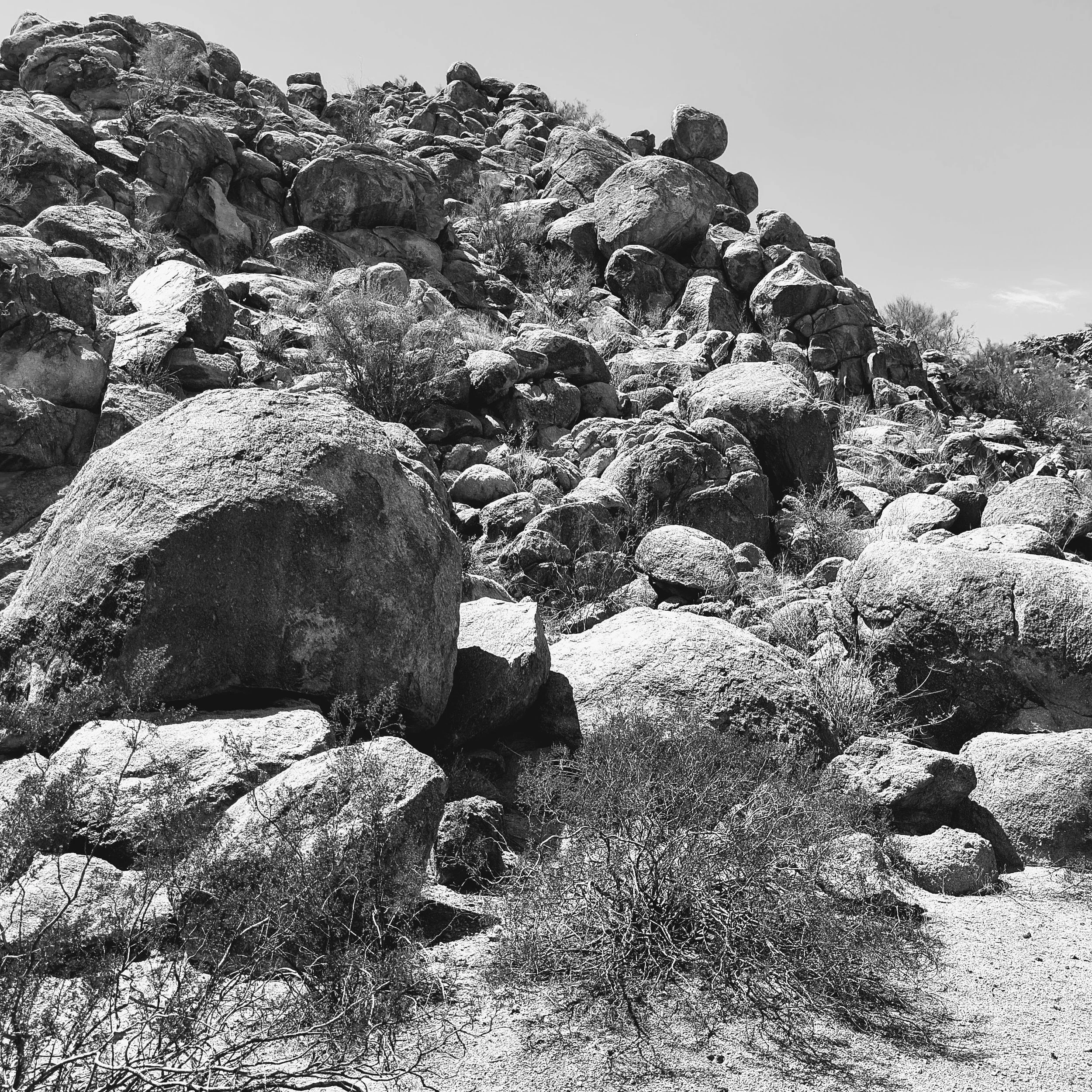 A Pluton remembers.
Even in black and white, the ridge keeps it quiet humor - 
a billion-year introvert practicing patience while the sky changes moods.
Granite doesn't rush, it just listens.
And sometimes, if the morning is soft enough, 
you can alm
