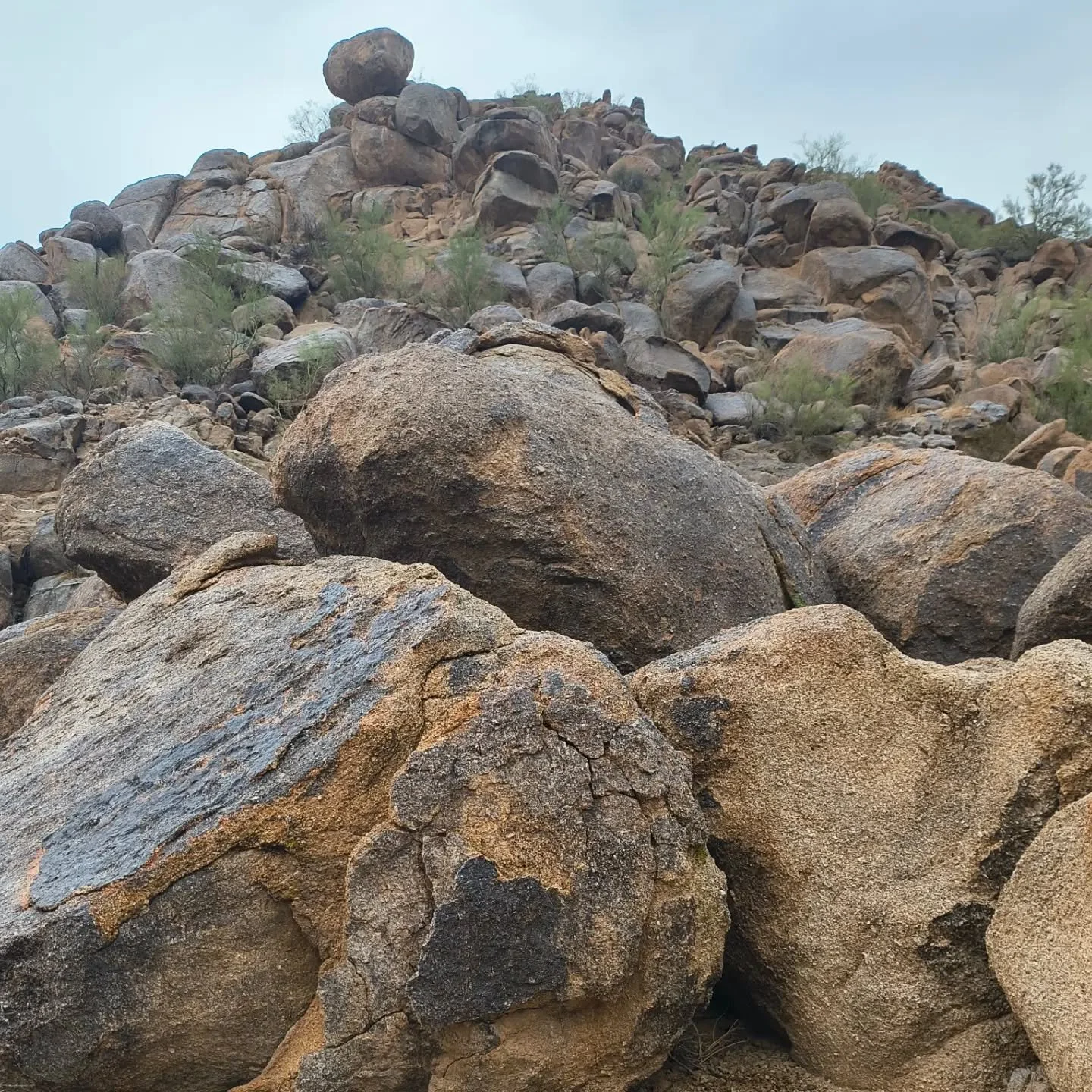 O stone, thou ancient keeper of the desert&rsquo;s breath,
Thou standest where time forgets its name,
Holding the world in quiet witness.
A billion years, and still thou art unmoved.

www.homesteadmountain.com