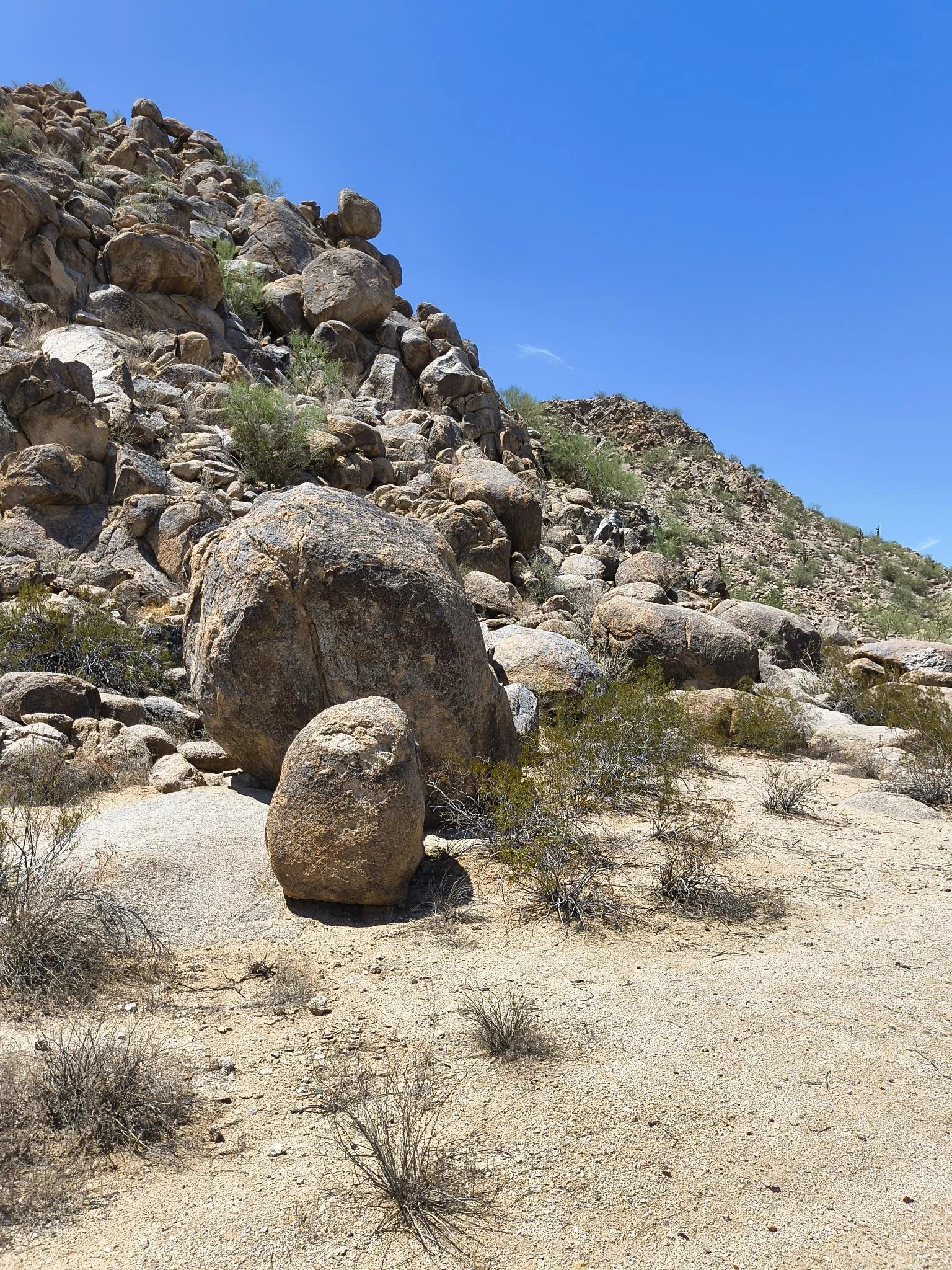 A rocky desert landscape with large boulders and sparse desert vegetation under a clear blue sky.