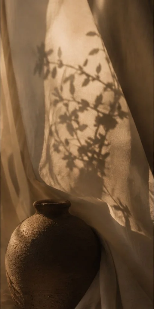 A ceramic vase placed near a window with sunlight casting the shadow of a leafy plant onto a fabric curtain.