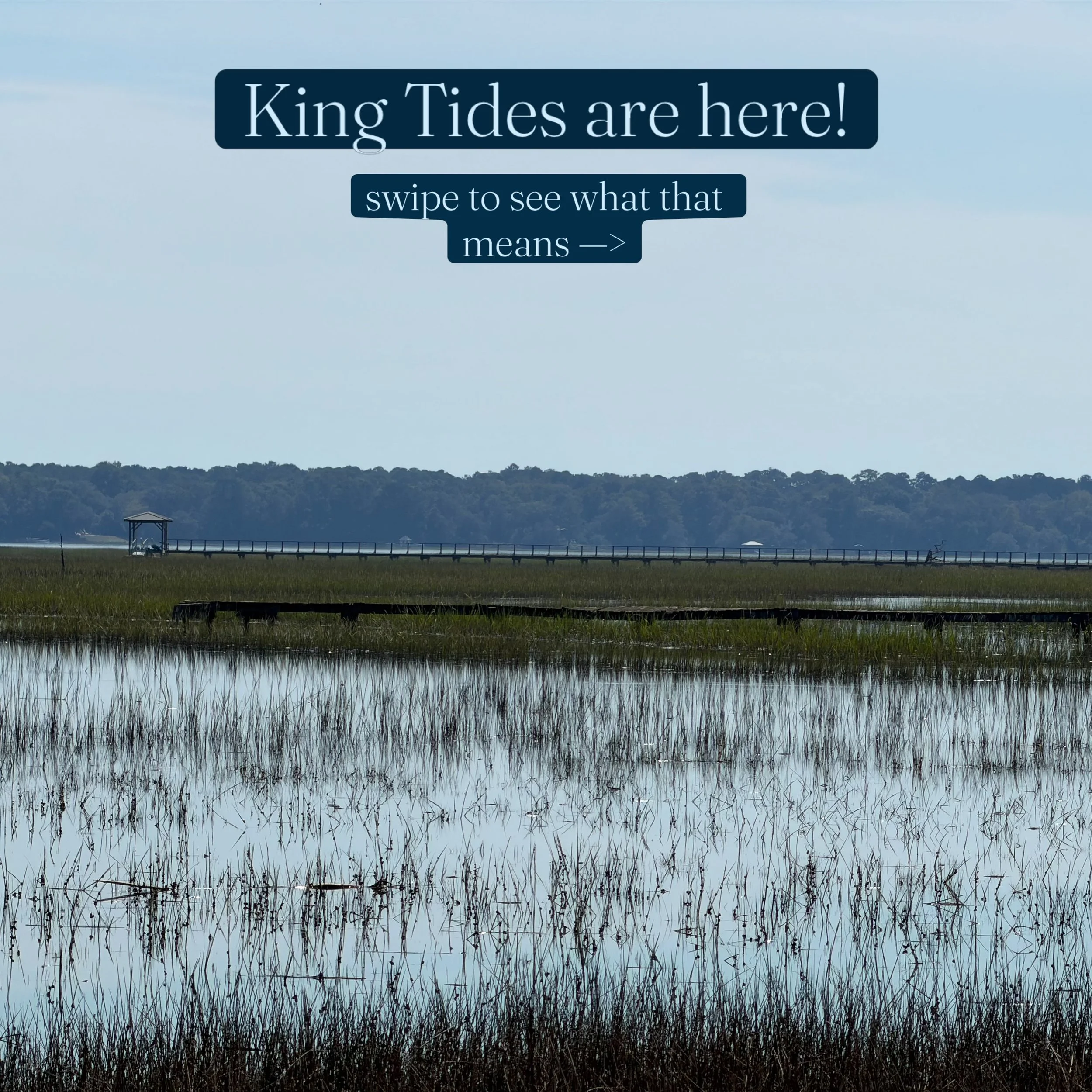 Ever wondered what a king tide is? Swipe to see, and send us a few pictures if your dock is feeling the effects of this week&rsquo;s king tides! 📍 Serving Charleston &amp; the surrounding Lowcountry

#KingTideMarine #KingTide #CharlestonSC #Lowcount
