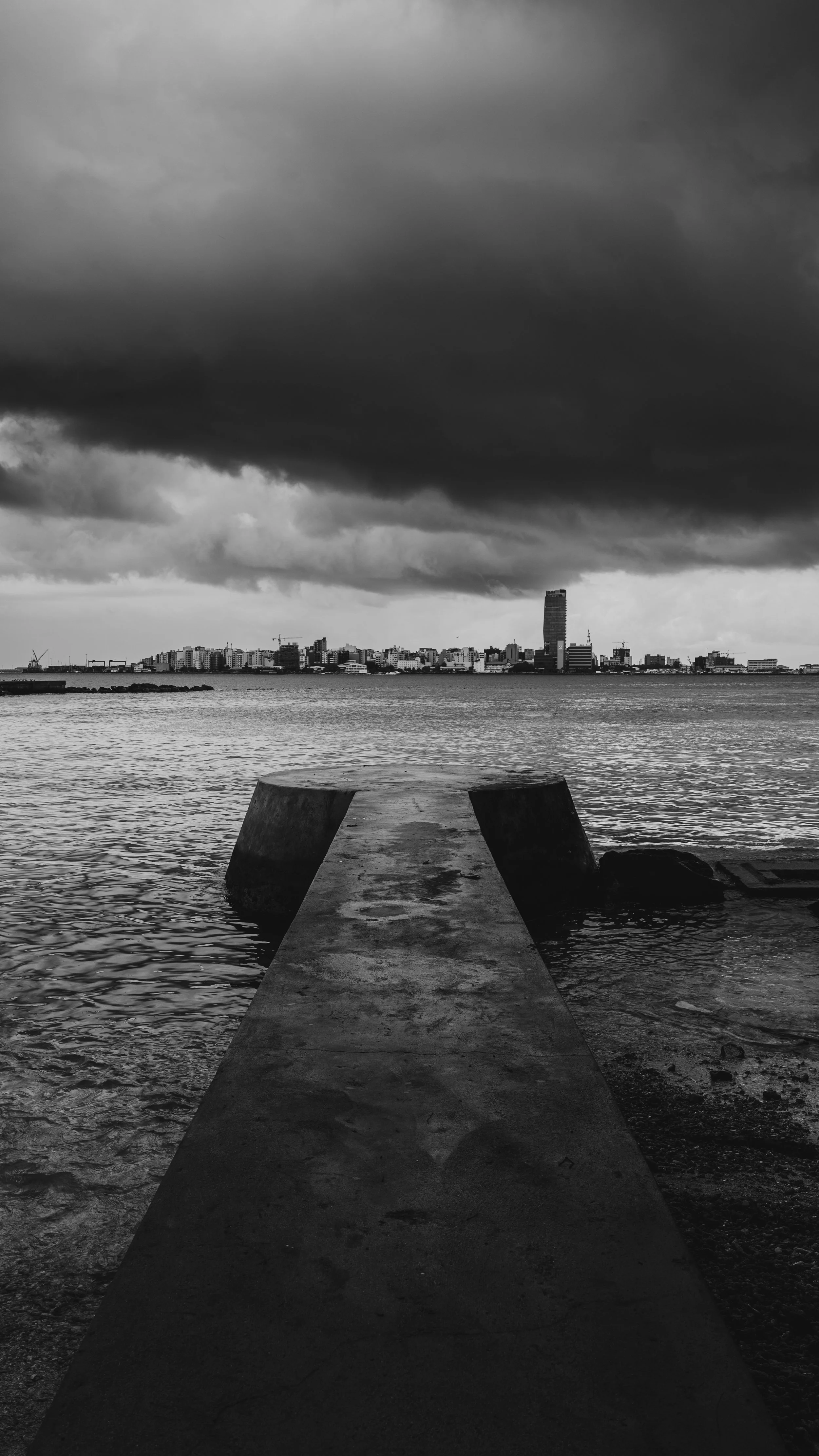 P1016147.jpg