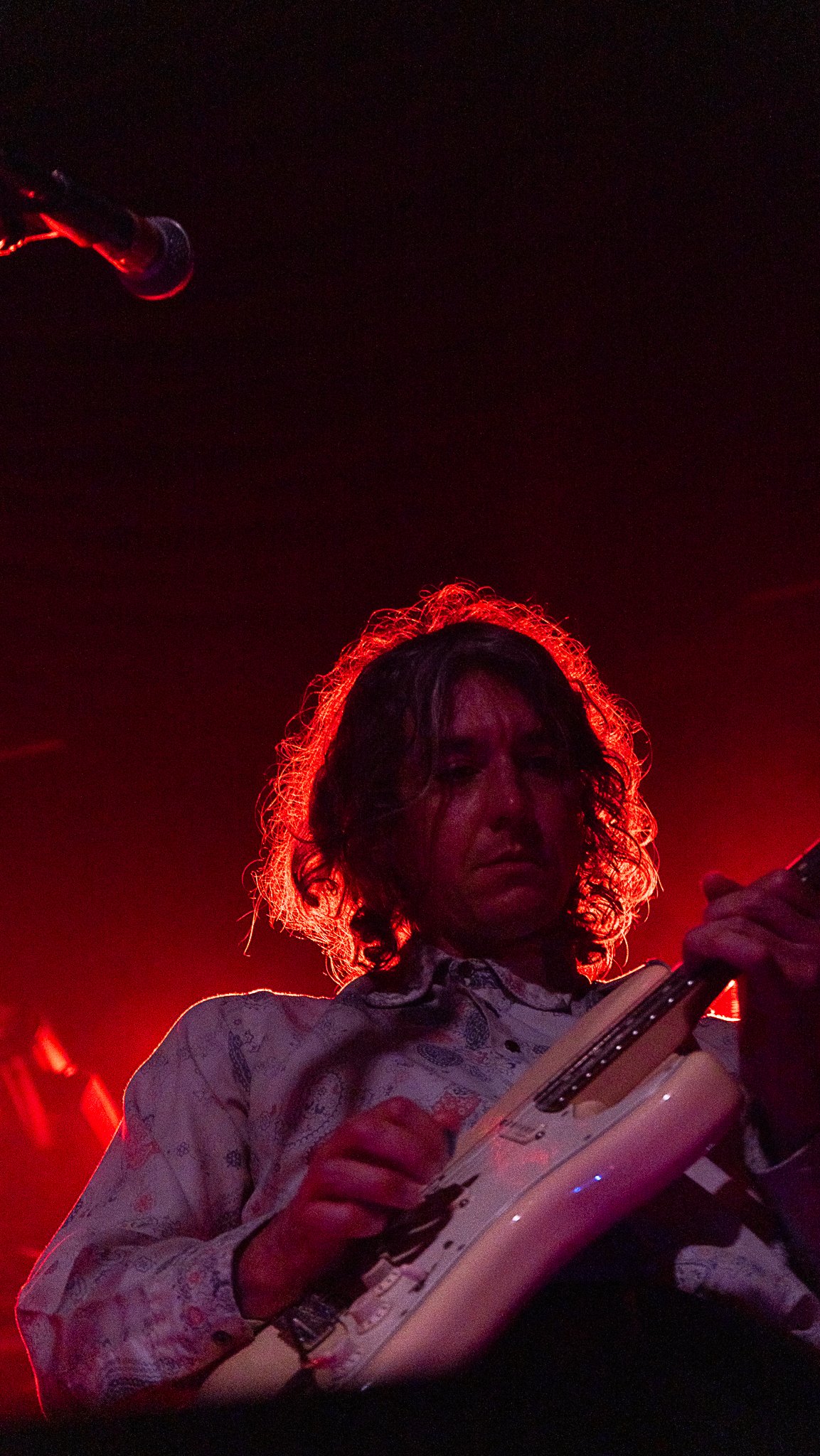 A7409202.jpg