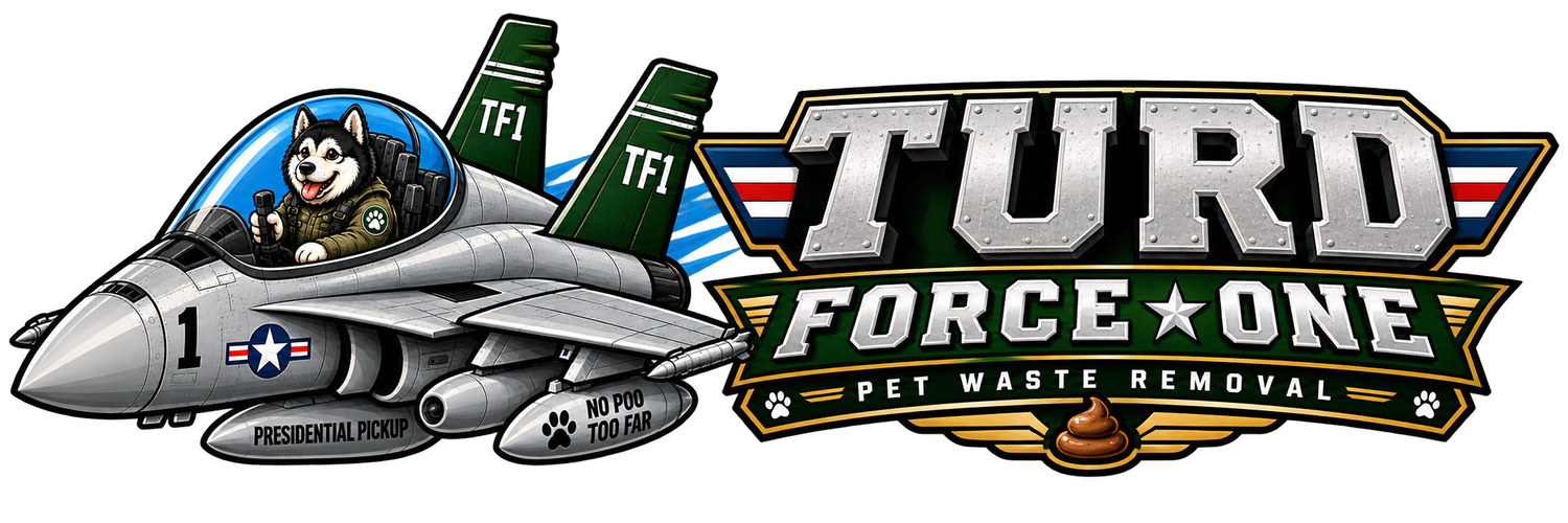 TF1
