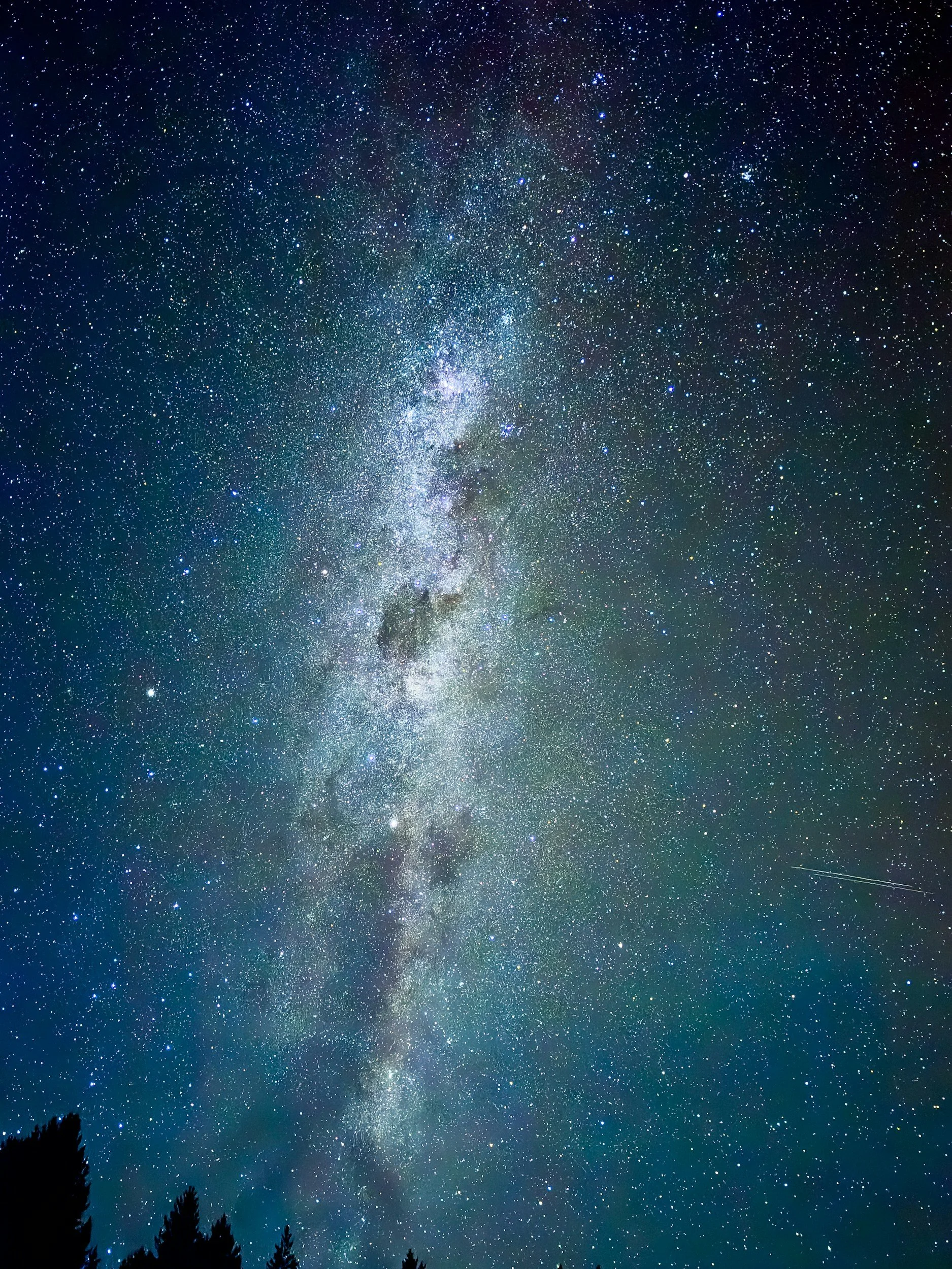 Night sky filled with stars and the Milky Way galaxy, with silhouette of treetops at the bottom.
