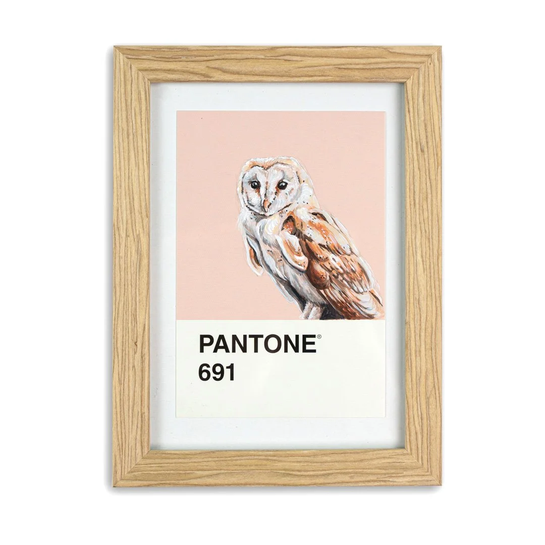 [Barn Owl Mini] - Original Mini Painting