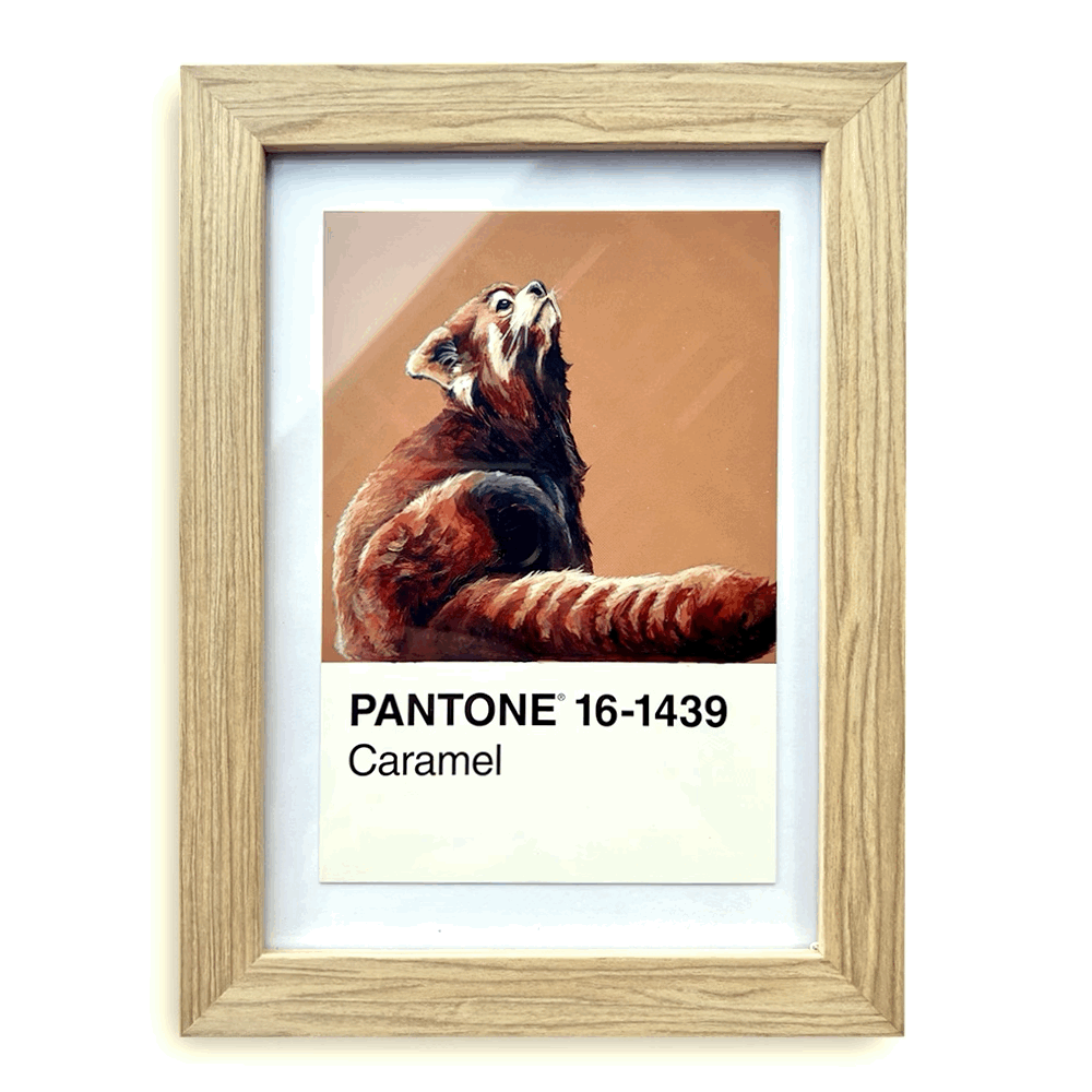 [Red Panda] - Original Mini Painting