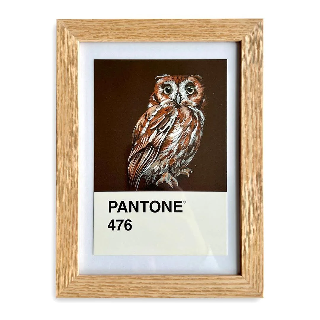 [Screech Owl] - Original Mini Painting