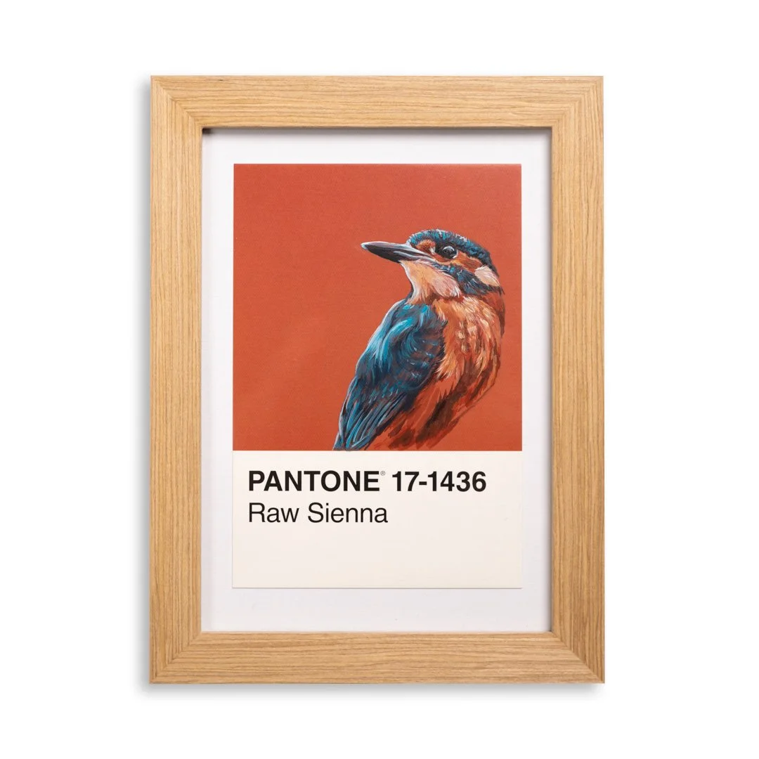 [Kingfisher Mini] - Original Mini Painting