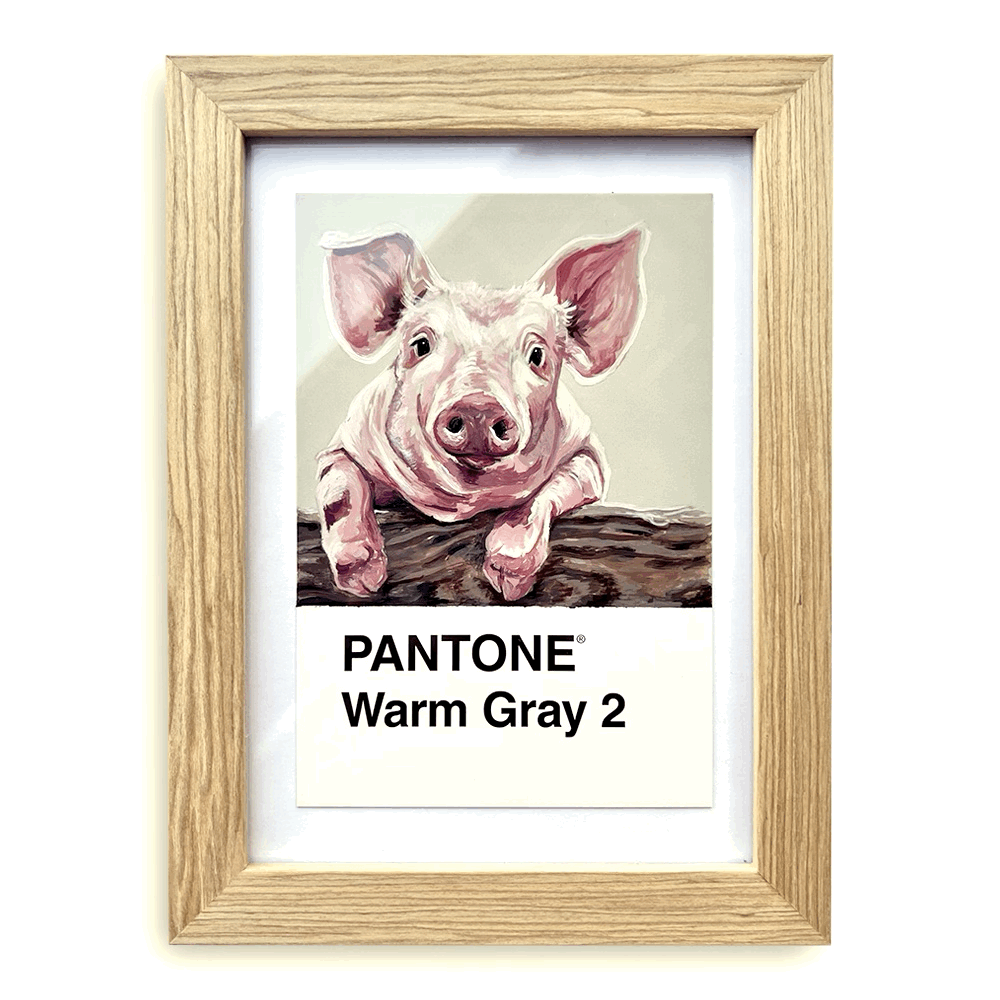 [Pig] - Original Mini Painting