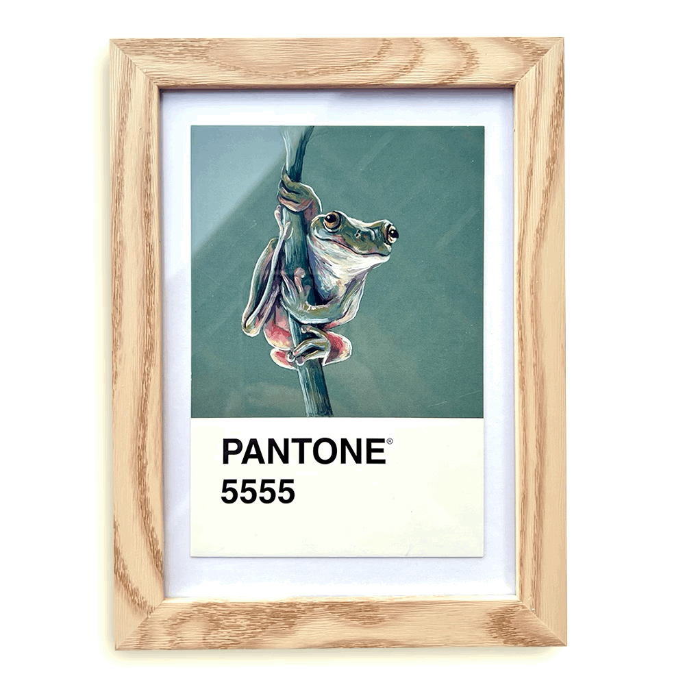 [White Tree Frog] - Original Mini Painting