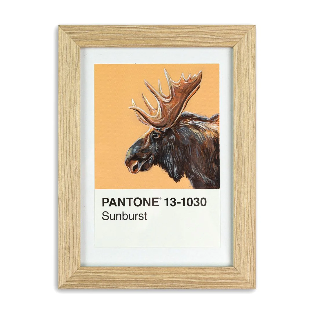 [Moose Mini] - Original Mini Painting