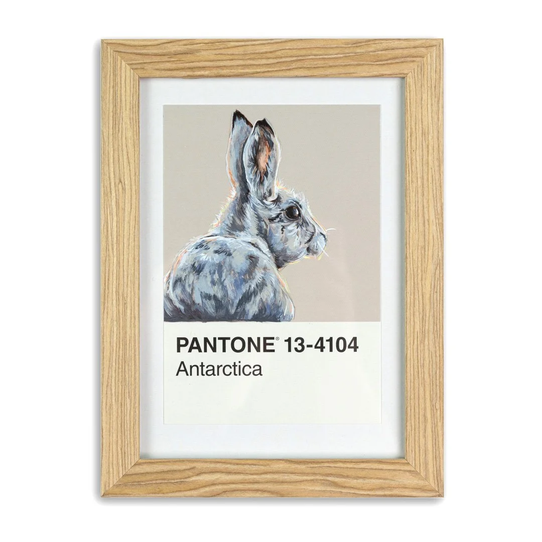 [Snowshoe Hare Mini] - Original Mini Painting