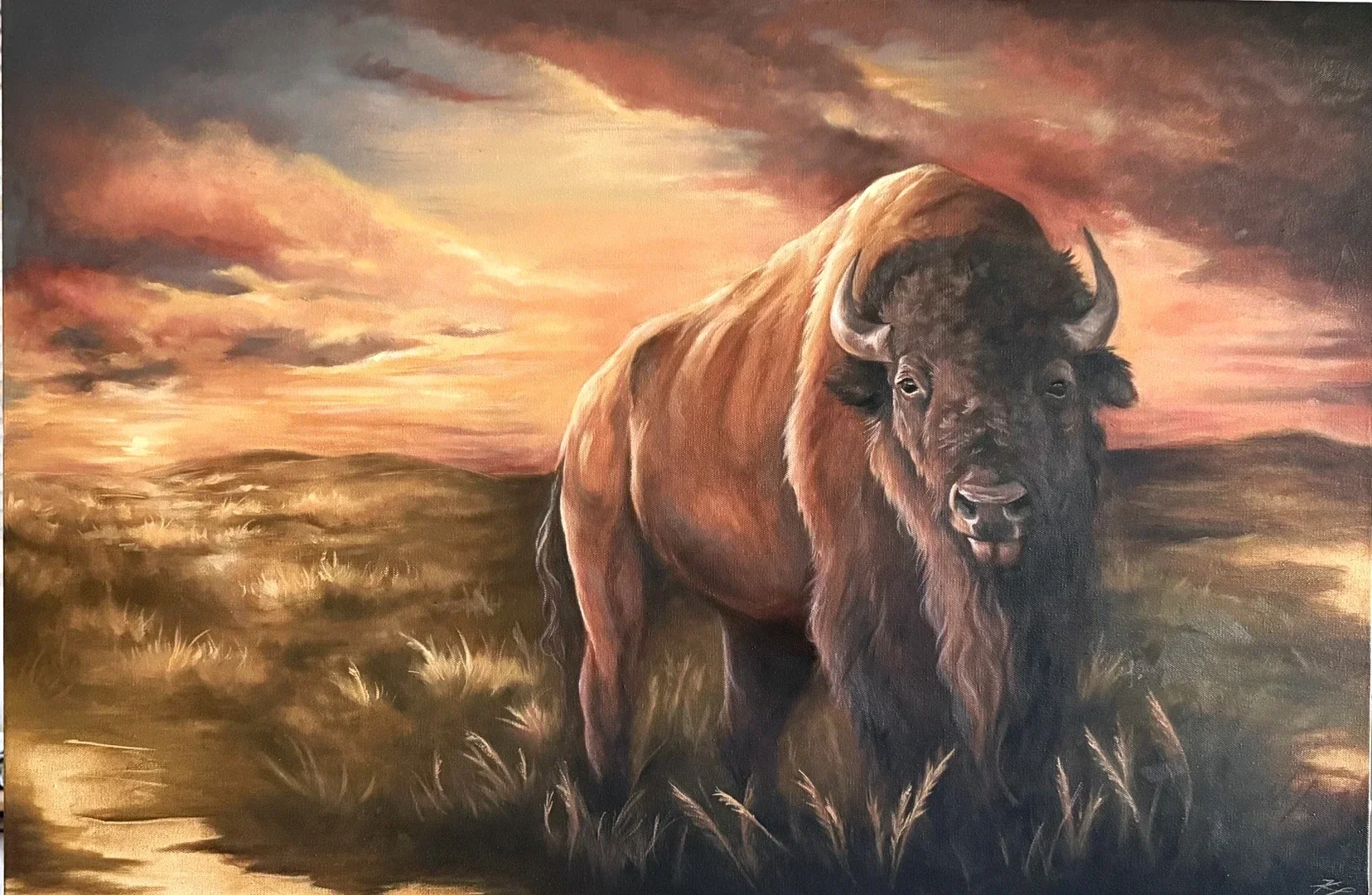A painting of a bison standing in a grassy field at sunset with a colorful sky.