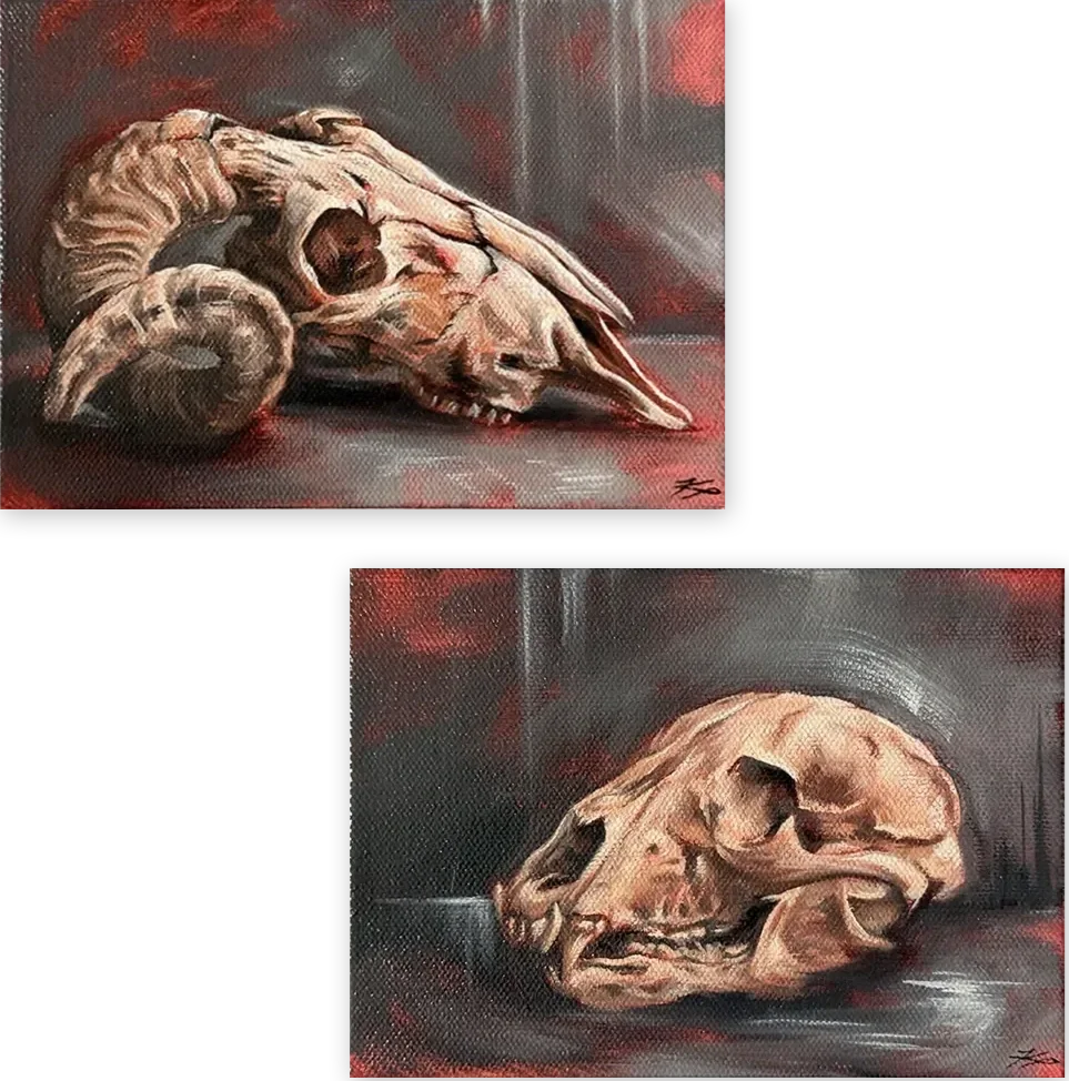 SkullStudies-GalleryThumbnail.webp
