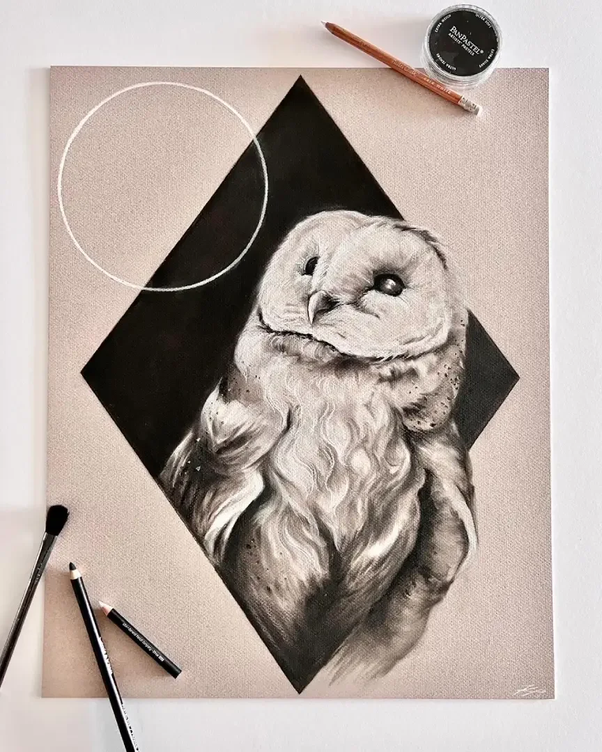 Black and white drawing of a barn owl with a textured background, featuring shading and detail to highlight the bird's feathers and face.