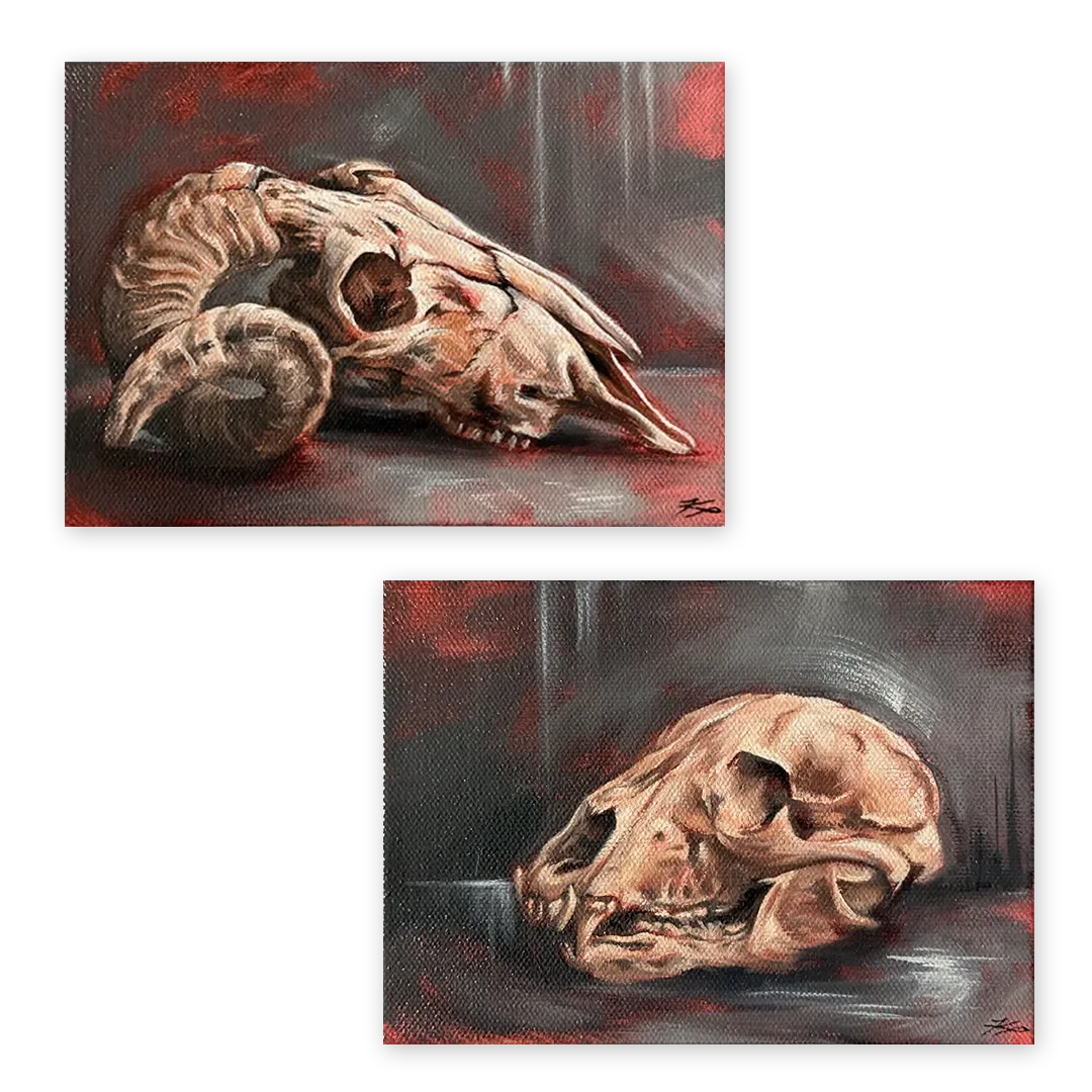 SkullStudies-GalleryThumbnail.webp
