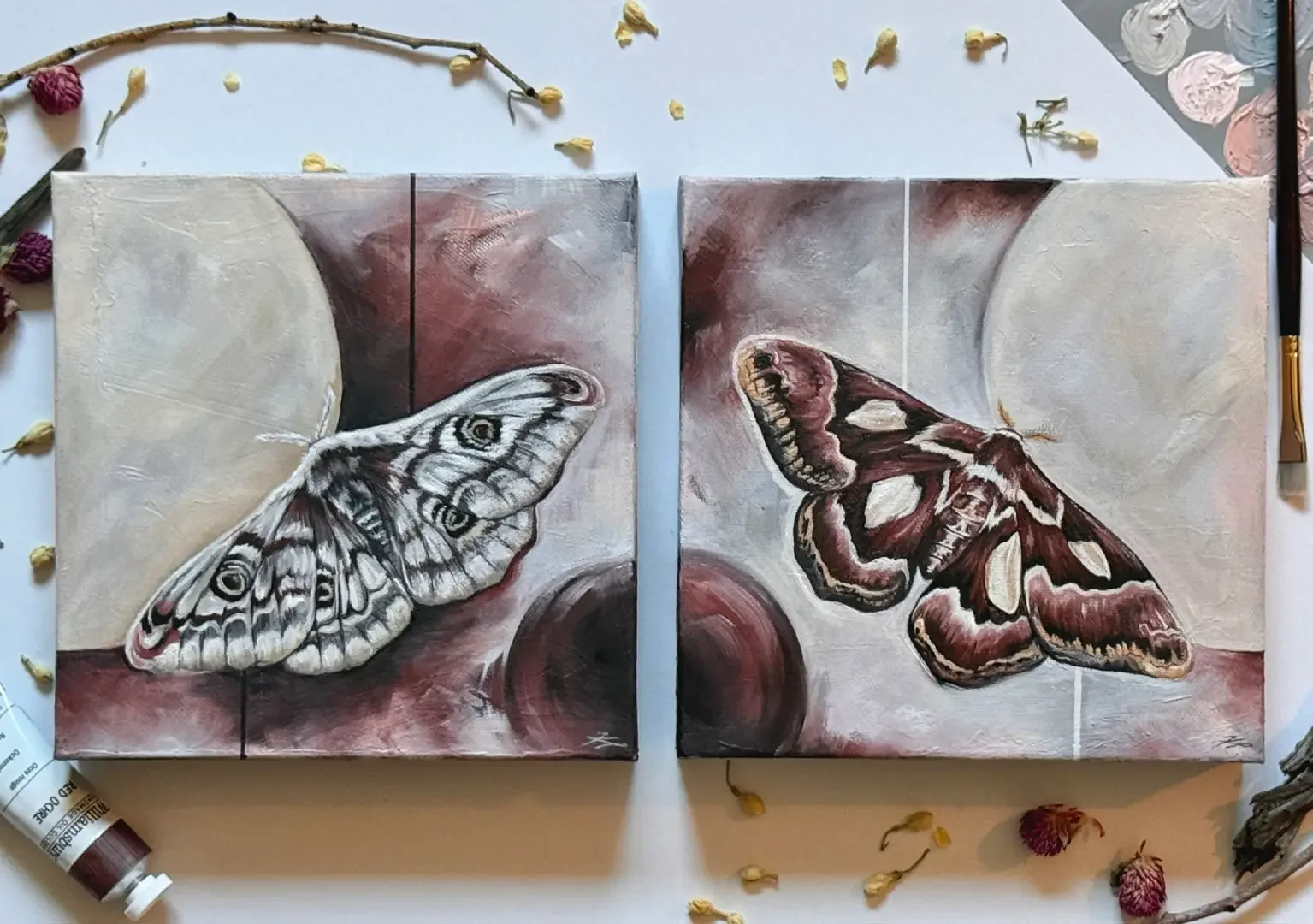 Opposites Attract (Silkmoth & Emperor Moth), Original Oil Paintings