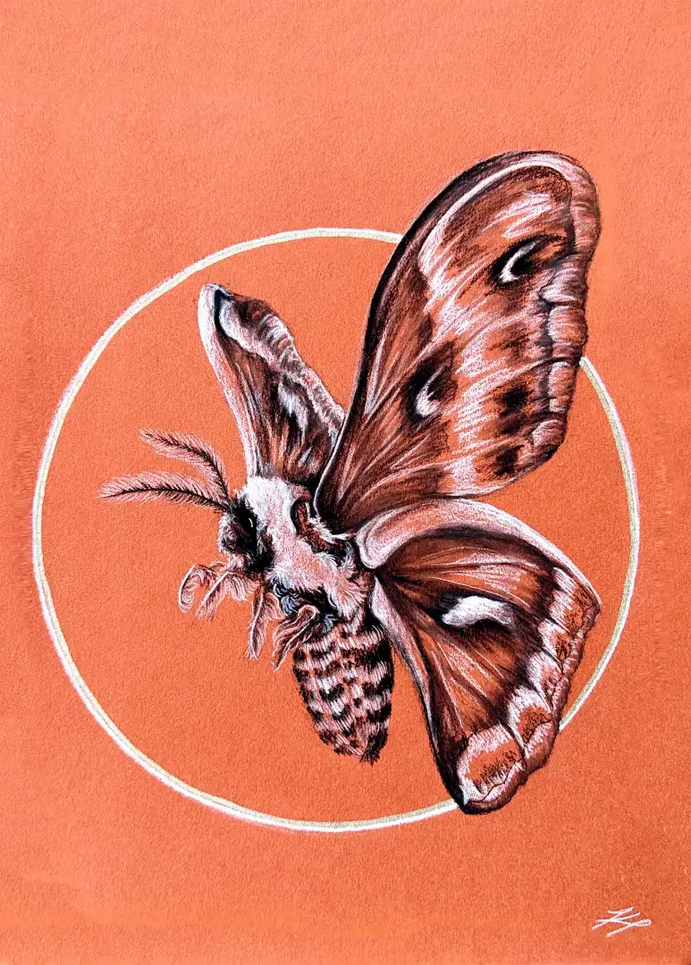 A detailed artistic illustration of a bee with butterfly wings, set against an orange background with a white circular outline.