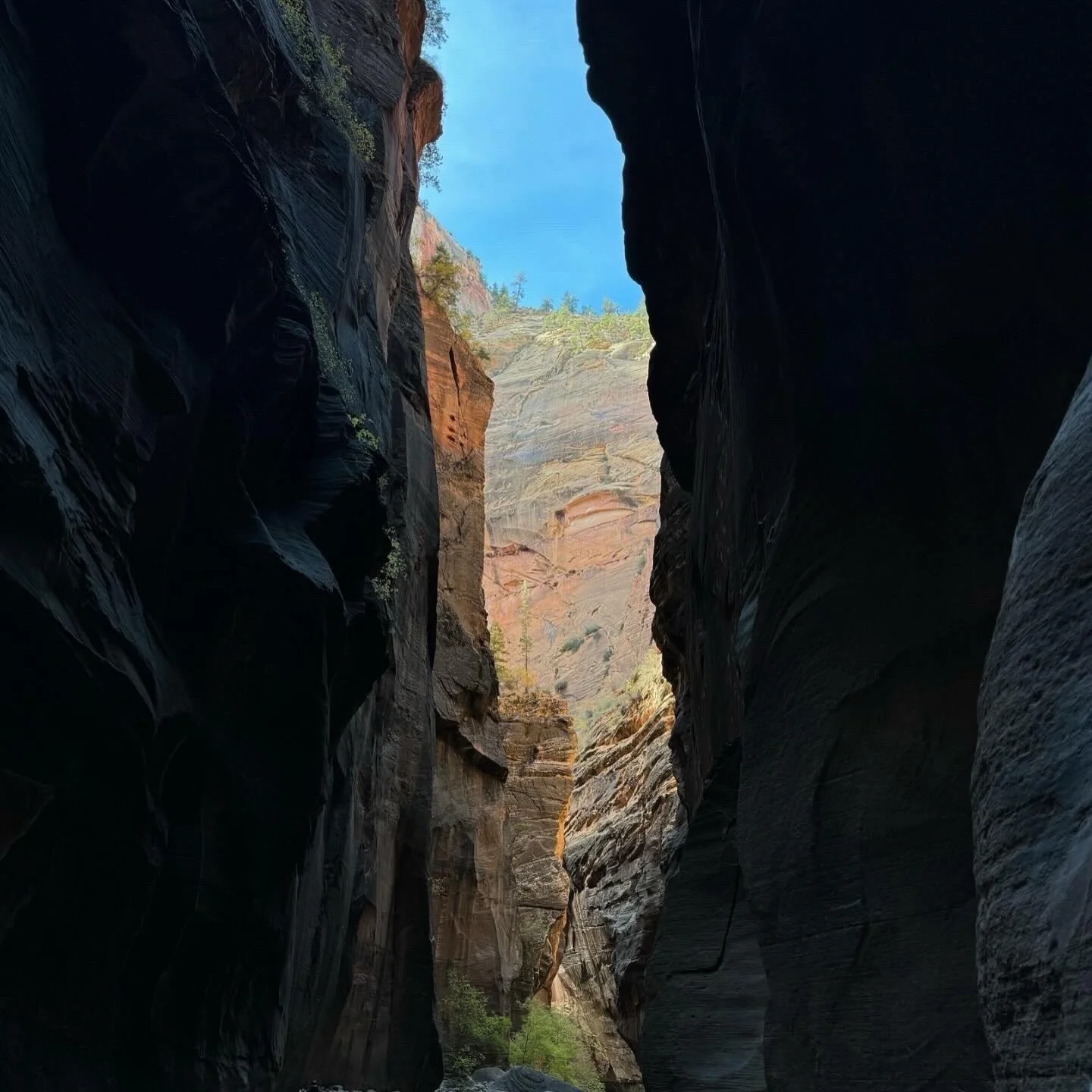On the distance between forgiveness and reconciliation&mdash;and learning that an apology doesn&rsquo;t always require a bridge back.

Chasm, a poem about boundaries, healing, and what happens when someone finally crosses the distance you once begged