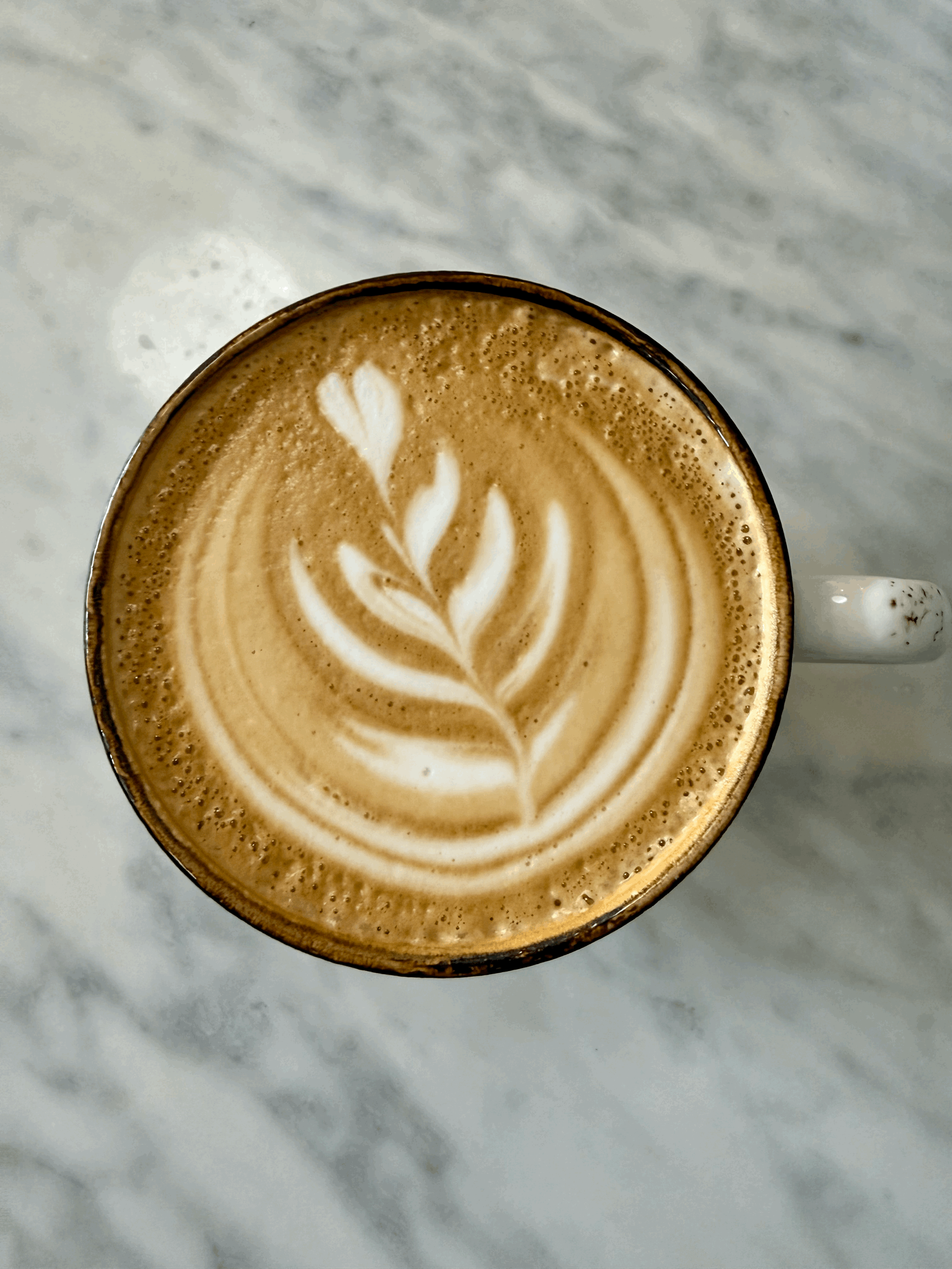 Coffee Hour