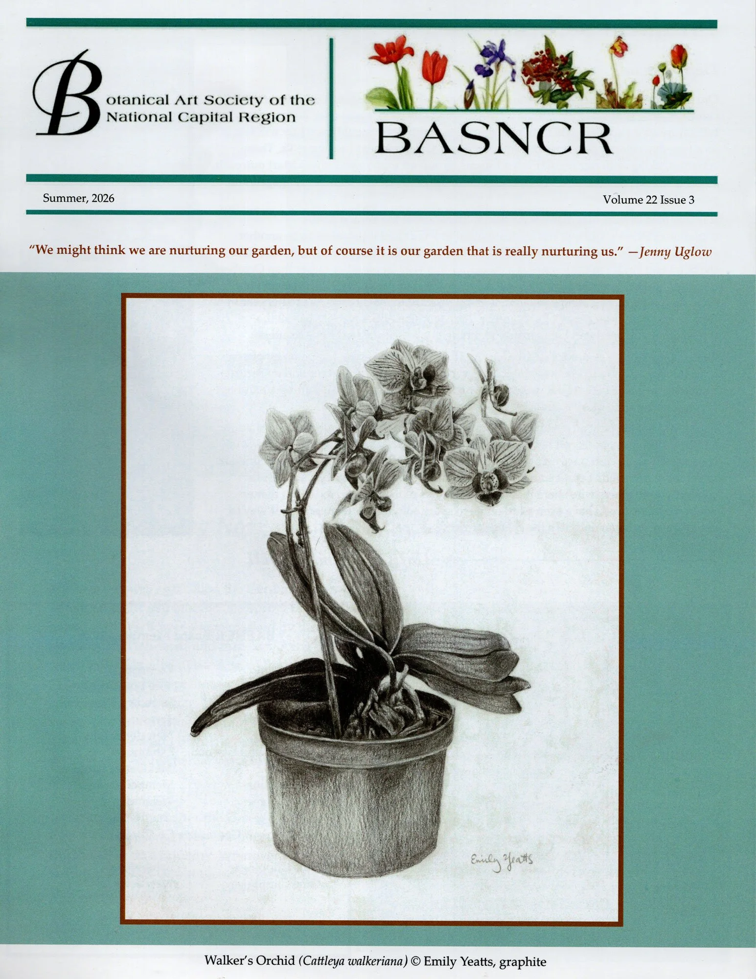 Black-and-white graphite drawing of an orchid in a pot, signed by Emily Yeatts.