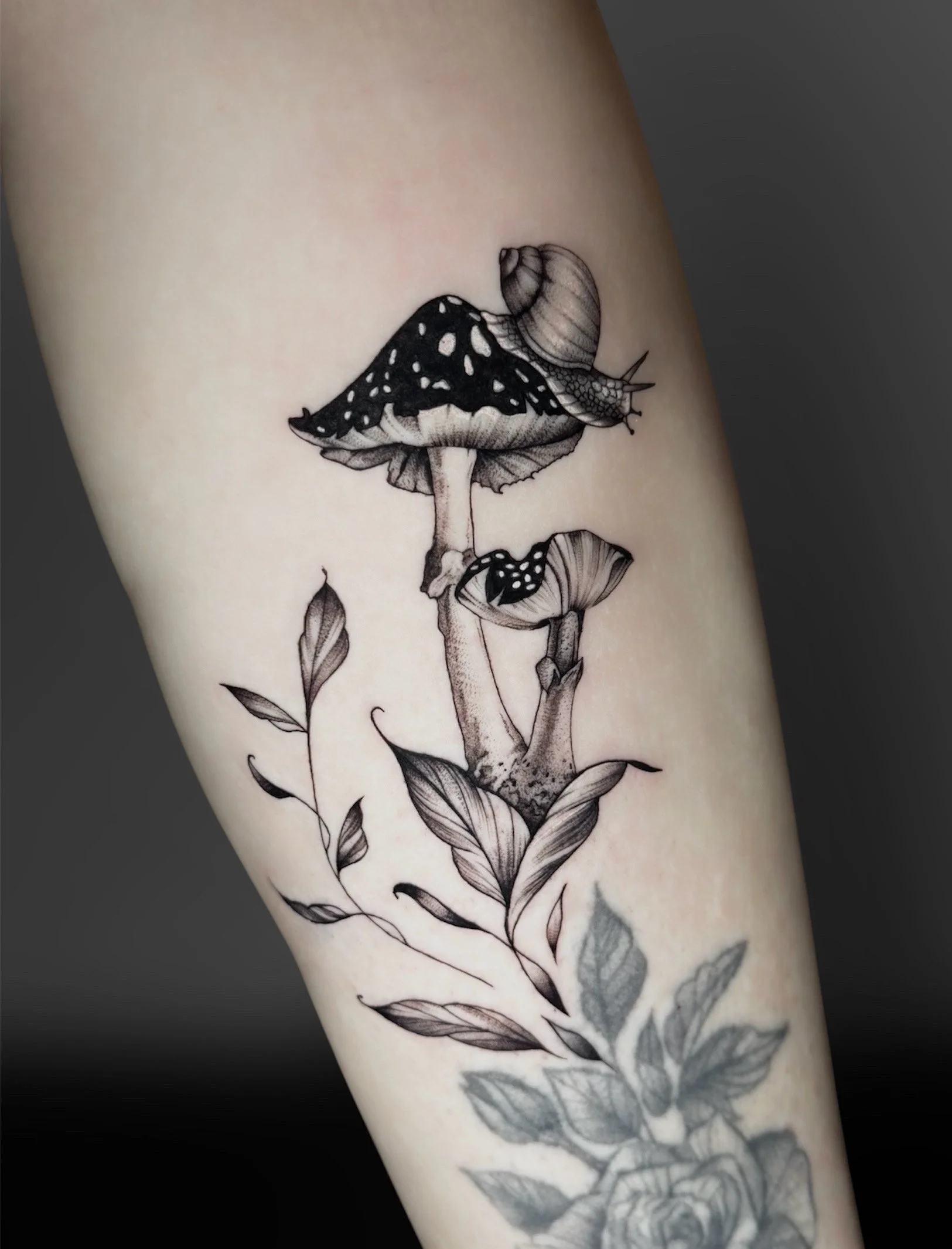 Detailed black and grey tattoo featuring a snail resting on a spotted mushroom , a smaller mushroom, delicate botanical leaves, and fine line shading.