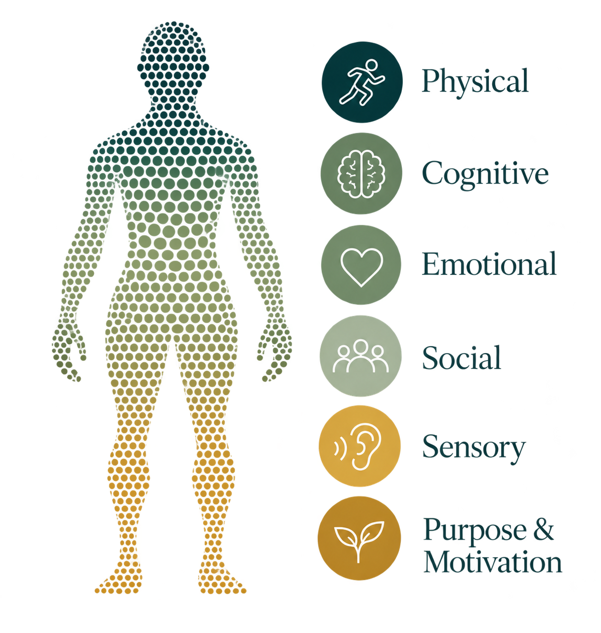 Diagram of human body highlighting different aspects such as physical, cognitive, emotional, social, sensory, and purpose and motivation, represented with icons and colorful sections.