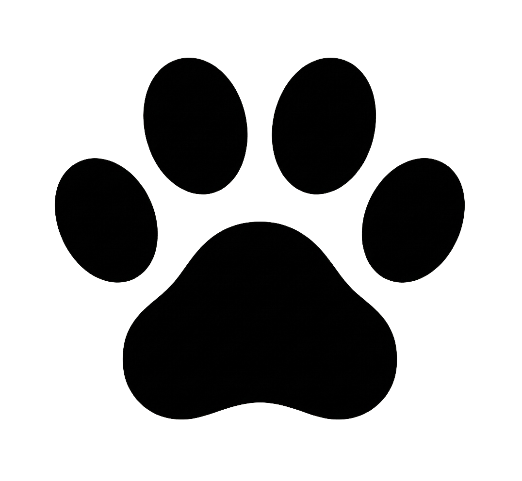 Outline of a dog paw print on a black background.