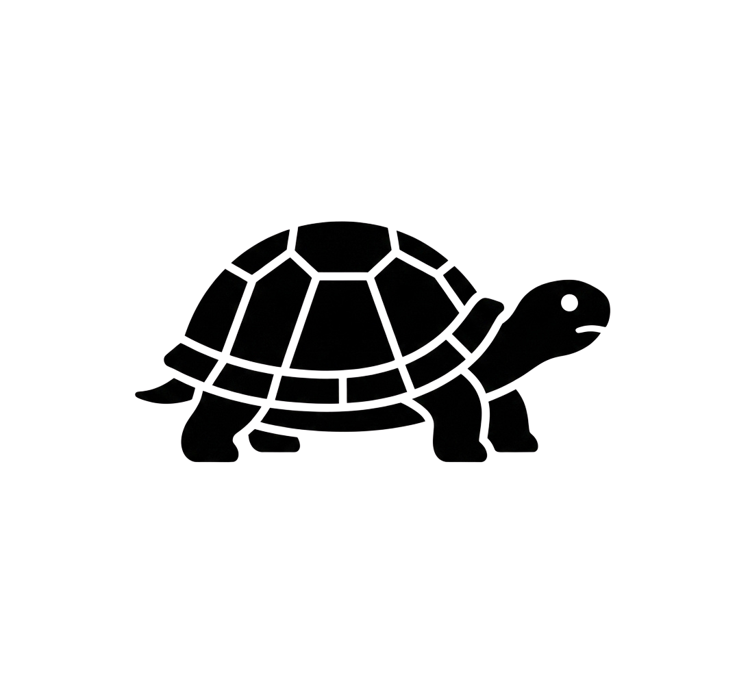 Outline of a cartoon turtle on a black background.