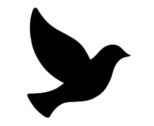 Silhouette of a flying bird.