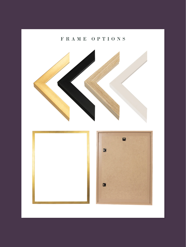Copy of Copy of FRAME OPTIONS - 4.png