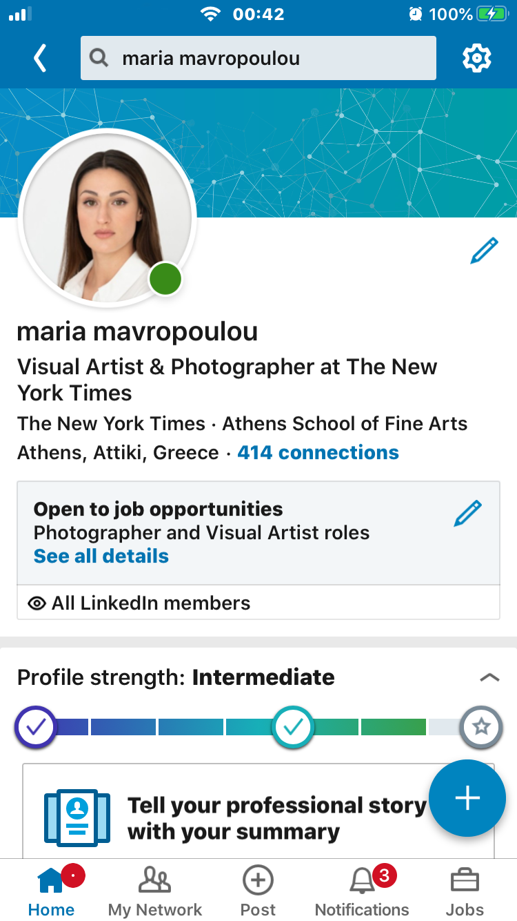LinkedIn self-portrait from 8,5 Faces, showing Maria Mavropoulou’s professional profile and examining career identity as a selective, staged and platform-specific performance of the self.
