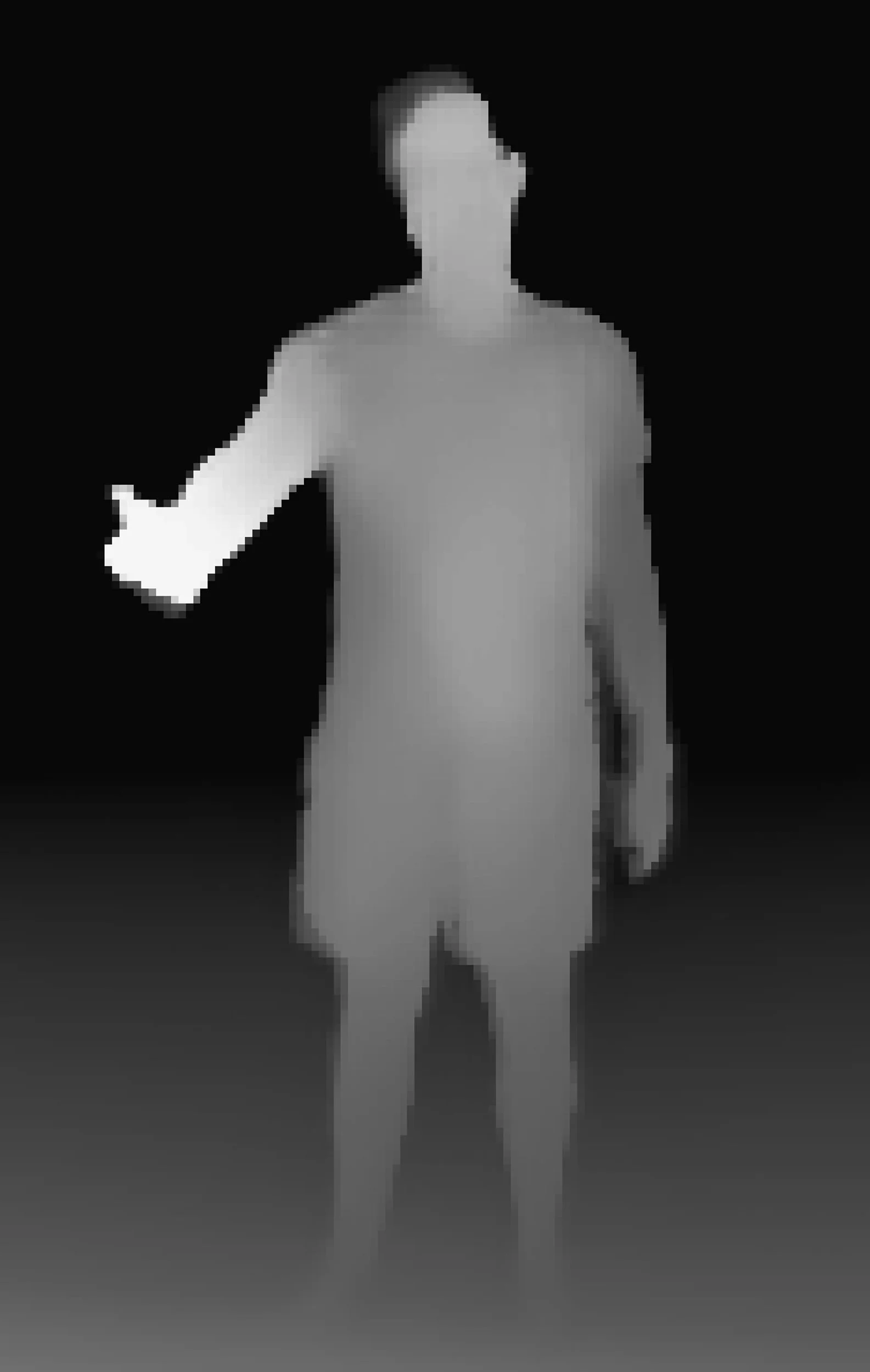 LiDAR-based 3D scan from A Hollow Garden, where bodies, intimate environments and landscapes mediated by digital imaging technologies appear fragmented and horizonless.