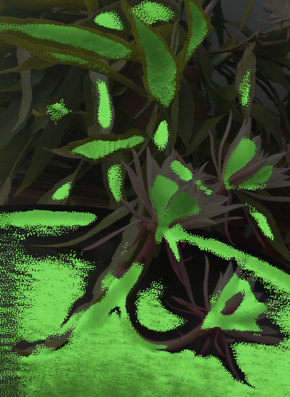 LiDAR-based 3D scan of plant life from A Hollow Garden, linking digital preservation, ecology and the losses of the climate crisis.