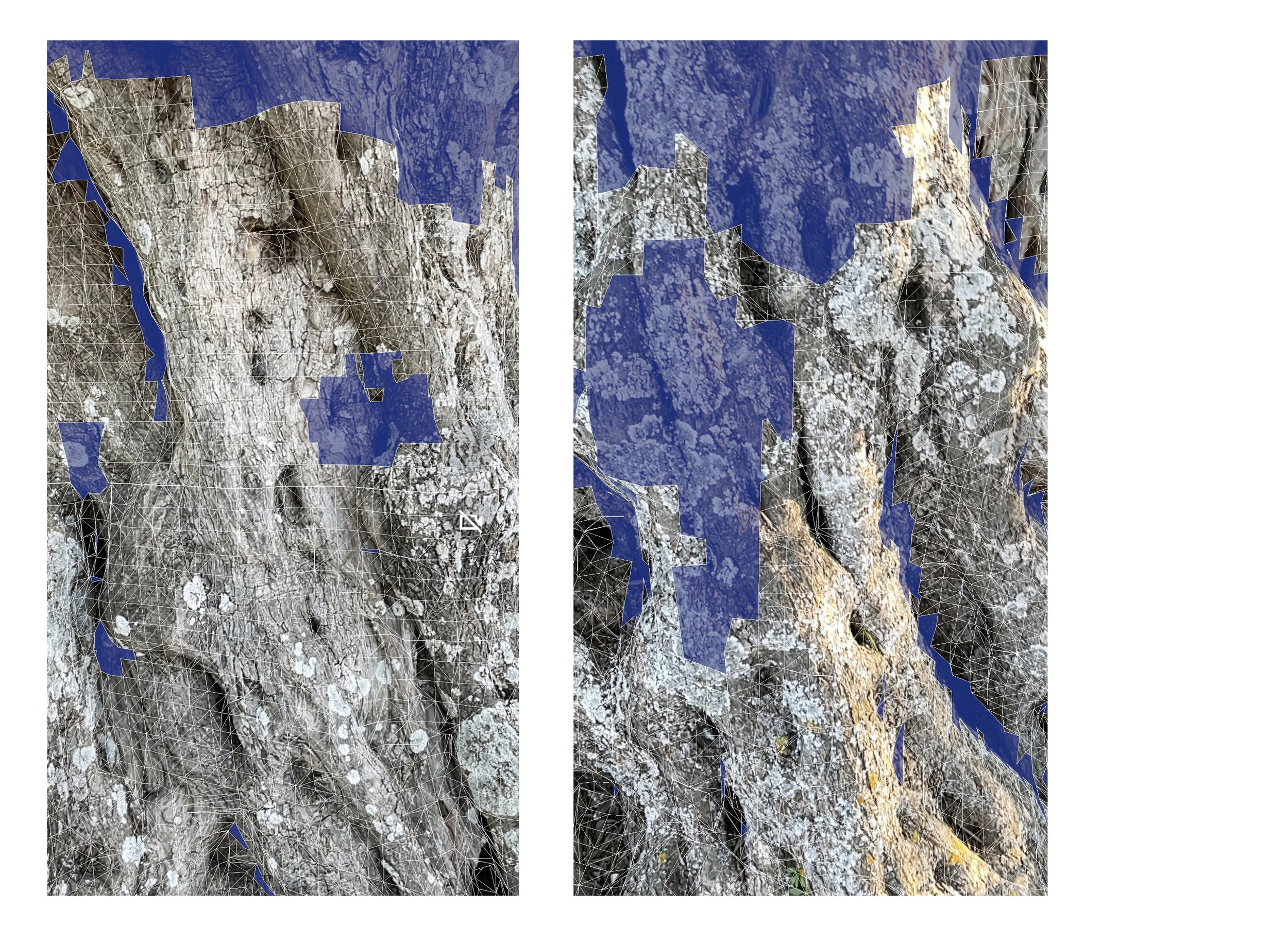Fragmented 3D scans of tree trunks from A Hollow Garden, preserving threatened ecology as digital fossils amid climate crisis and ecological loss.