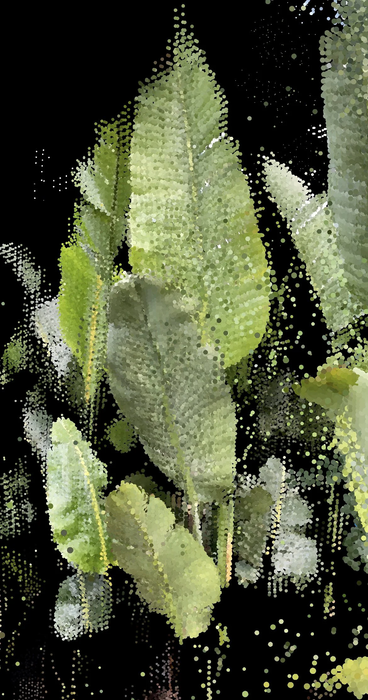 Fragmented LiDAR-based 3D scan of leaves from A Hollow Garden, where plant life becomes a digital fossil of fragile ecology.