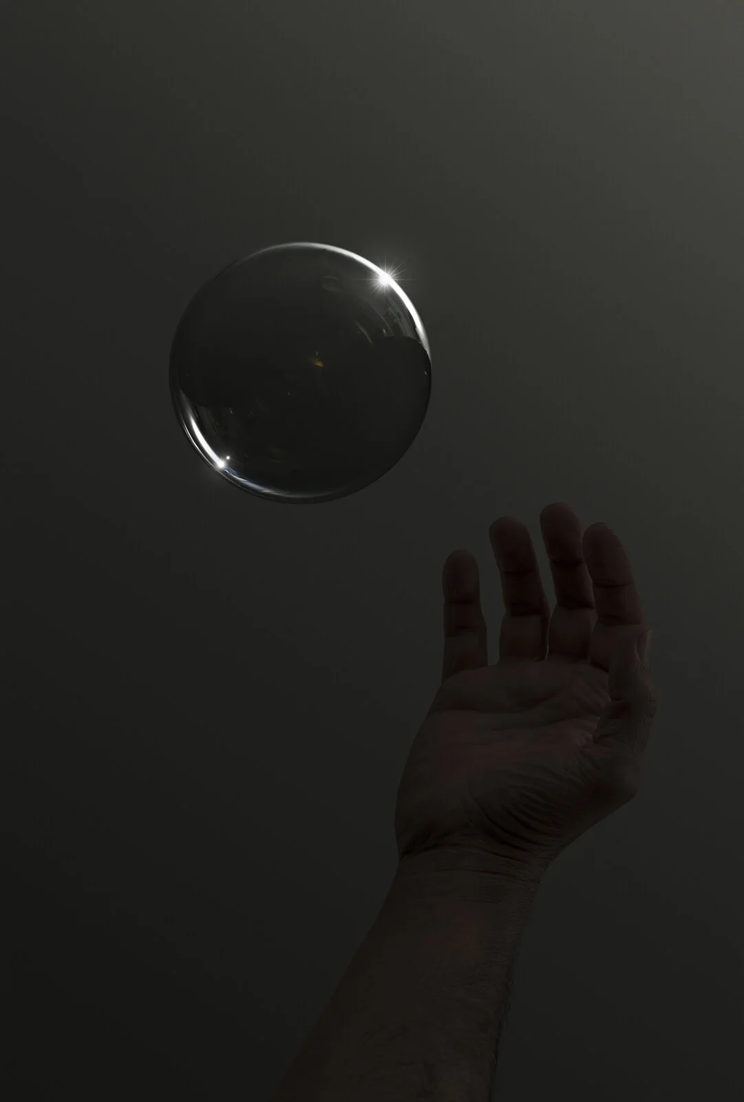 Filtered Dreaming from Image Eaters, exploring algorithmic filter bubbles, personalized feeds and the narrowing of what social-media users are shown.